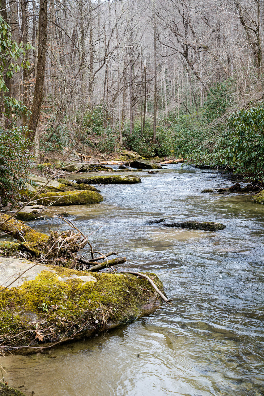 来  烟雨江南烟雨情 水乡流韵千古来 尘封岁月记忆新 条条小河悠悠波