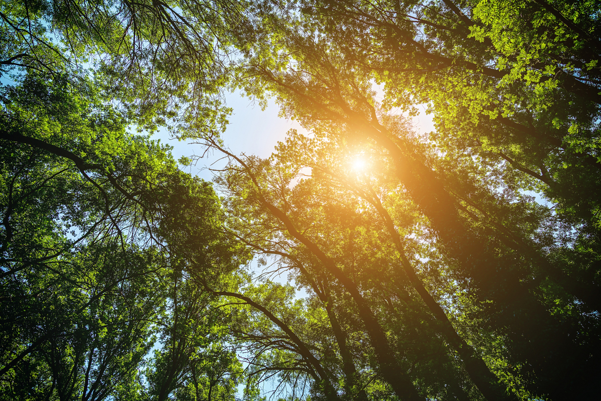 镜头里的春天# :春日的大连,沐浴在温暖的阳光之下,仿佛整个世界侗换