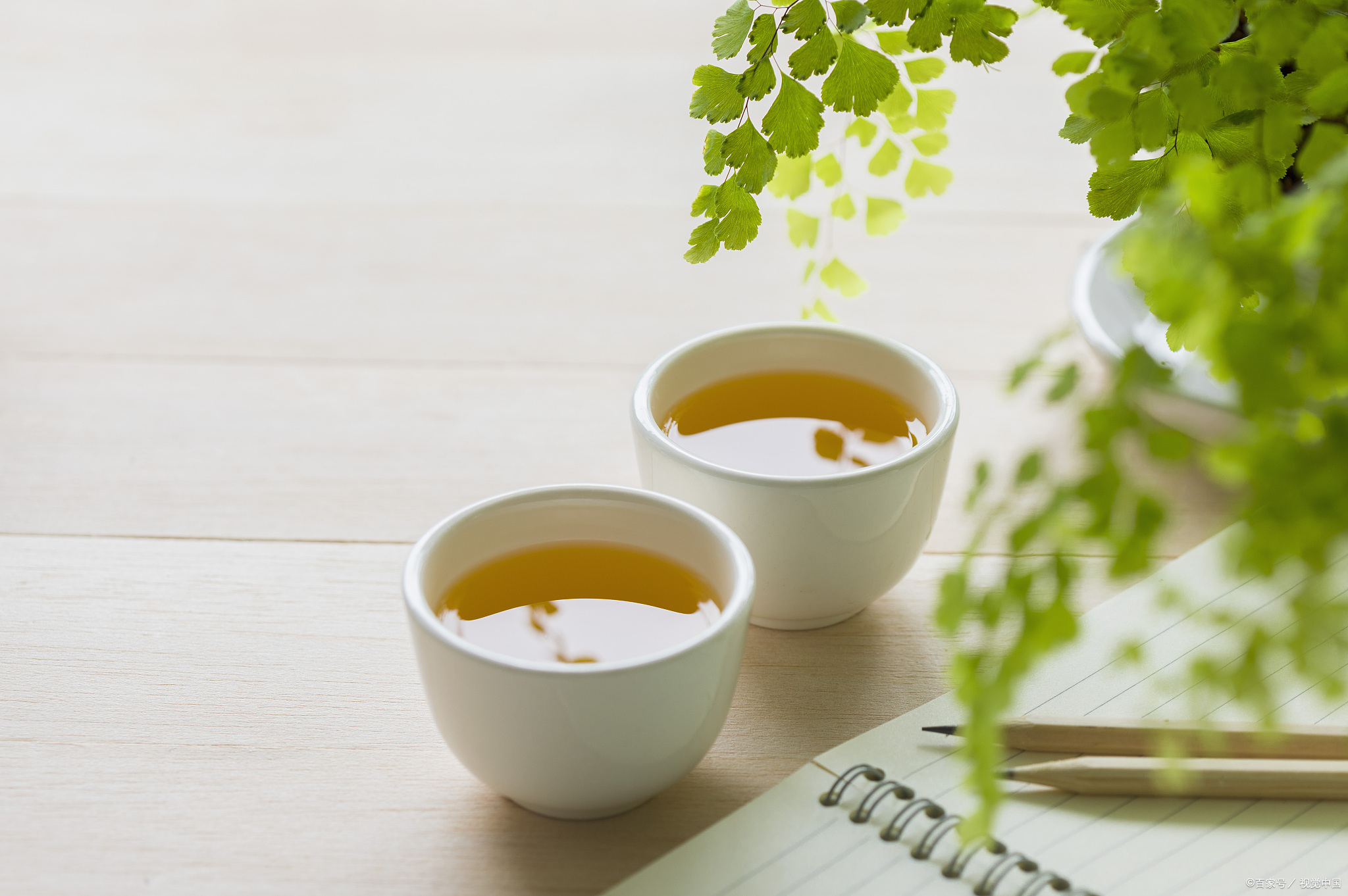 这并不是说,所有的女人都是这样,或者所有的男人都是这样,但这是一个