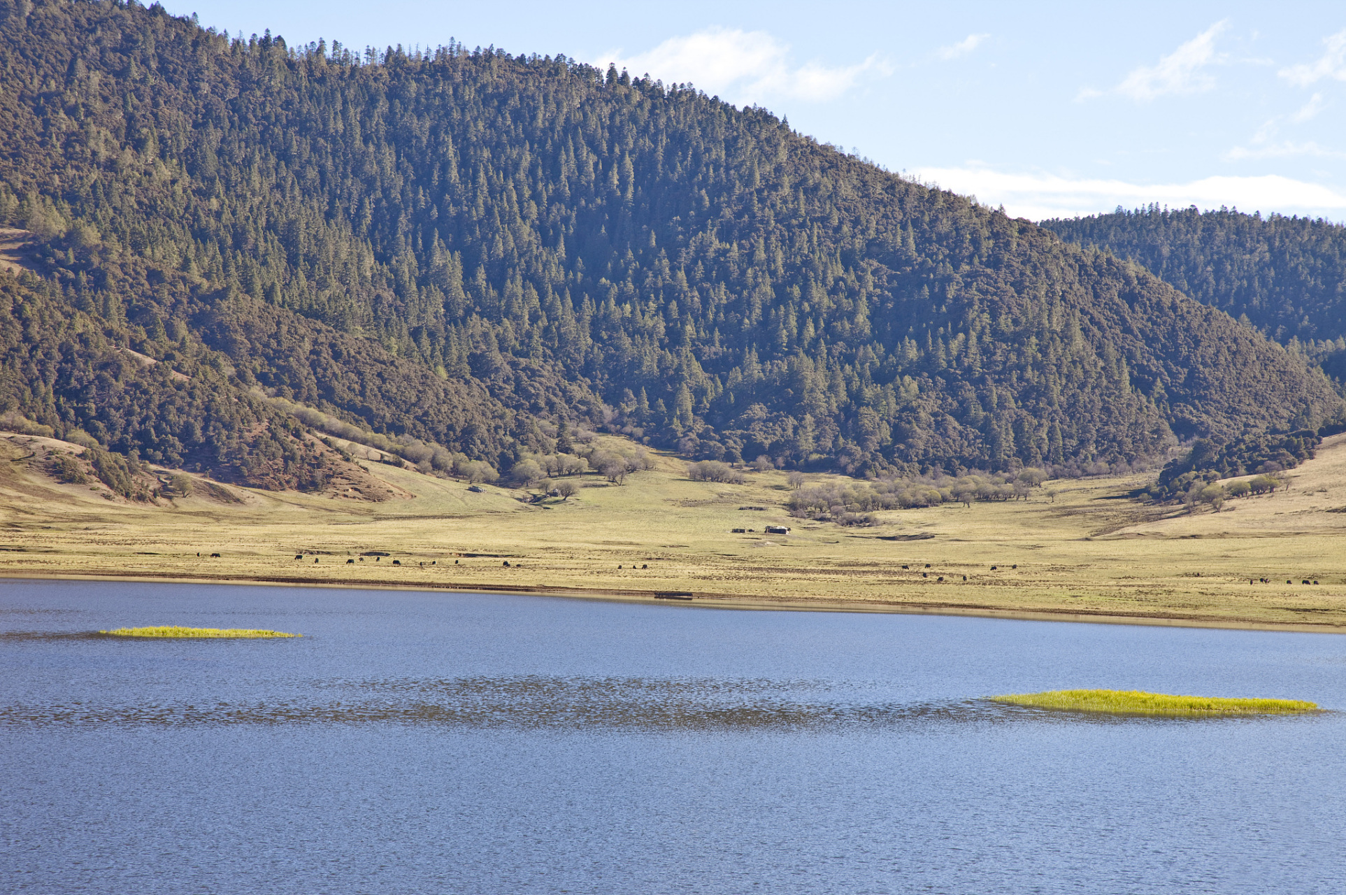 普达措国家公园位于中国云南省迪庆藏族自治州香格里拉县建塘镇东部