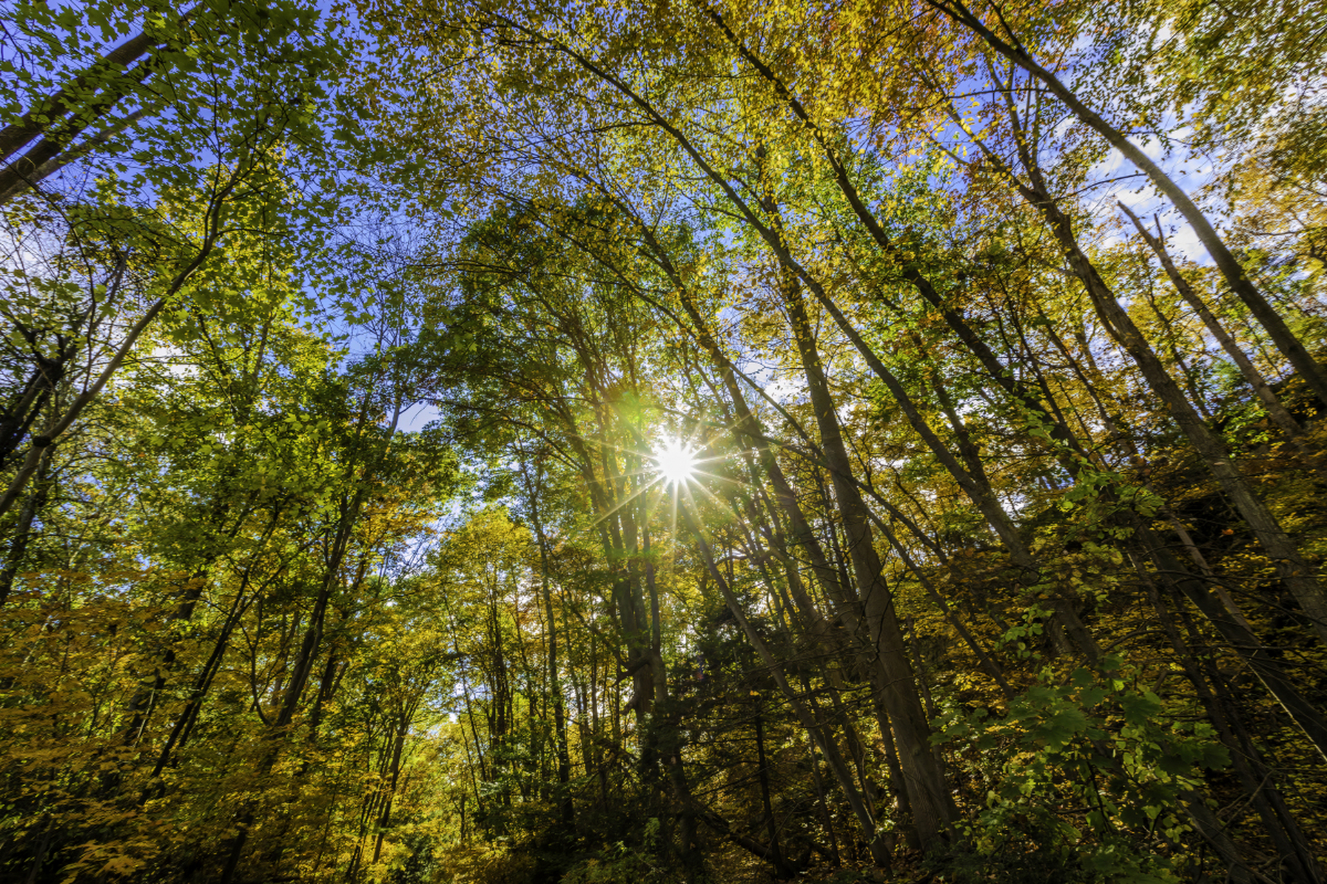 摘要:  一个人生活可以带来内心的宁静和自由,学会独立和坚强.