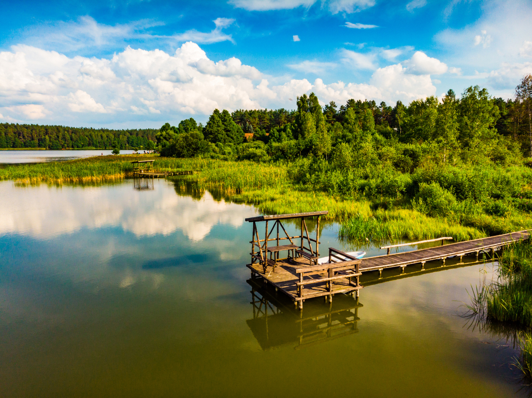 夏天充满活力和激情,阳光炙烤大地,万物苏醒.