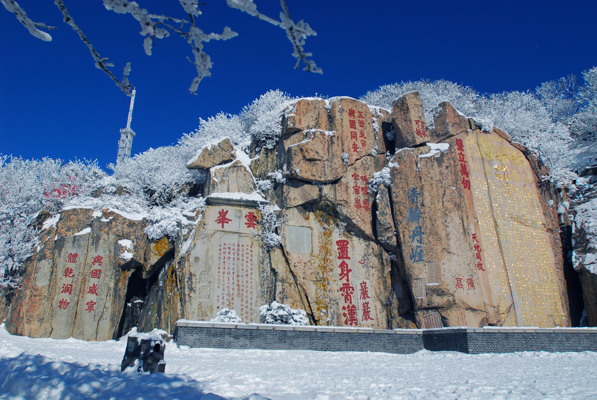 泰安雪景图片