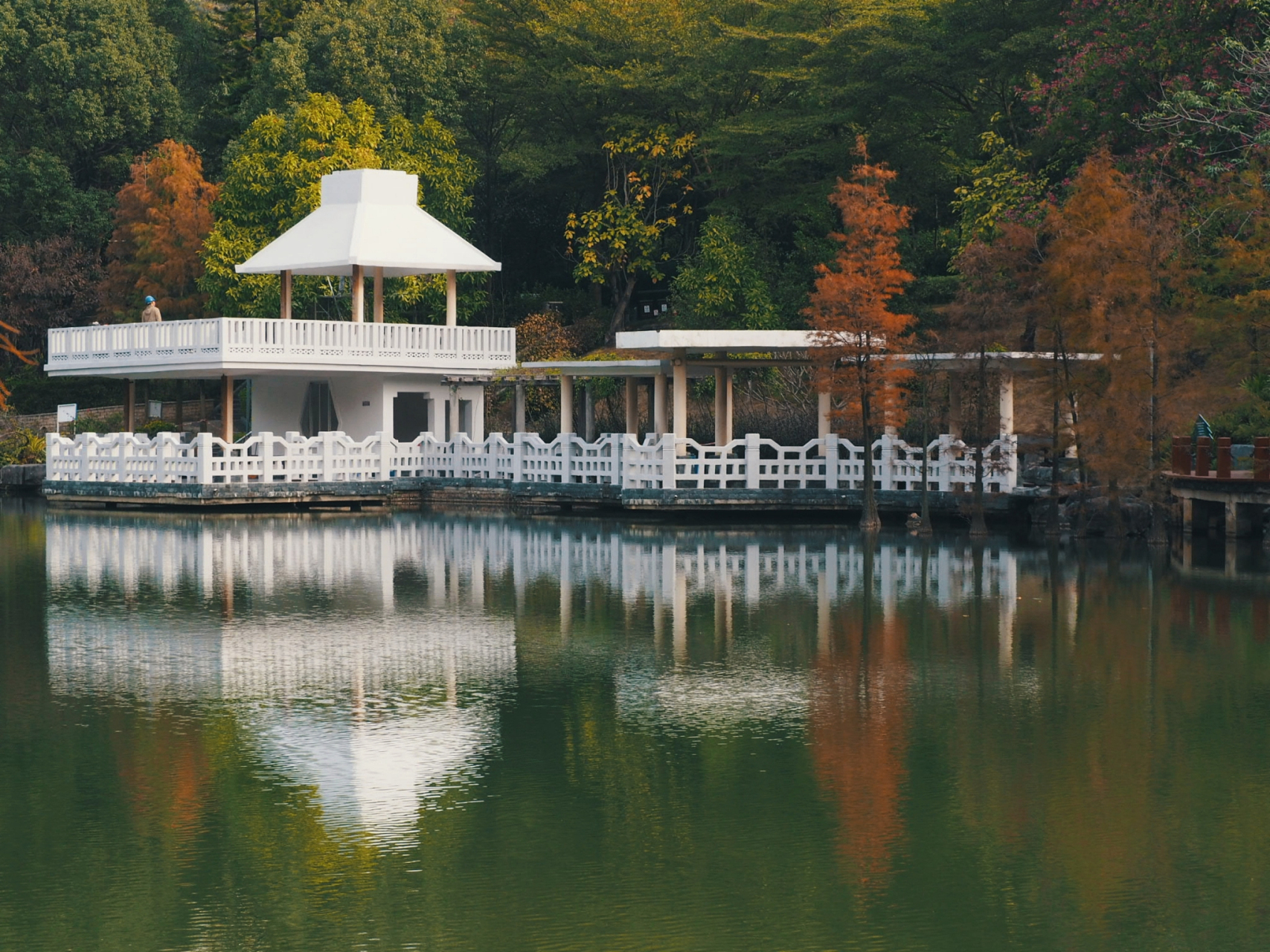 德庆,广东省西部历史悠久的美丽县城,有许多令人心旷神怡的旅游景点.