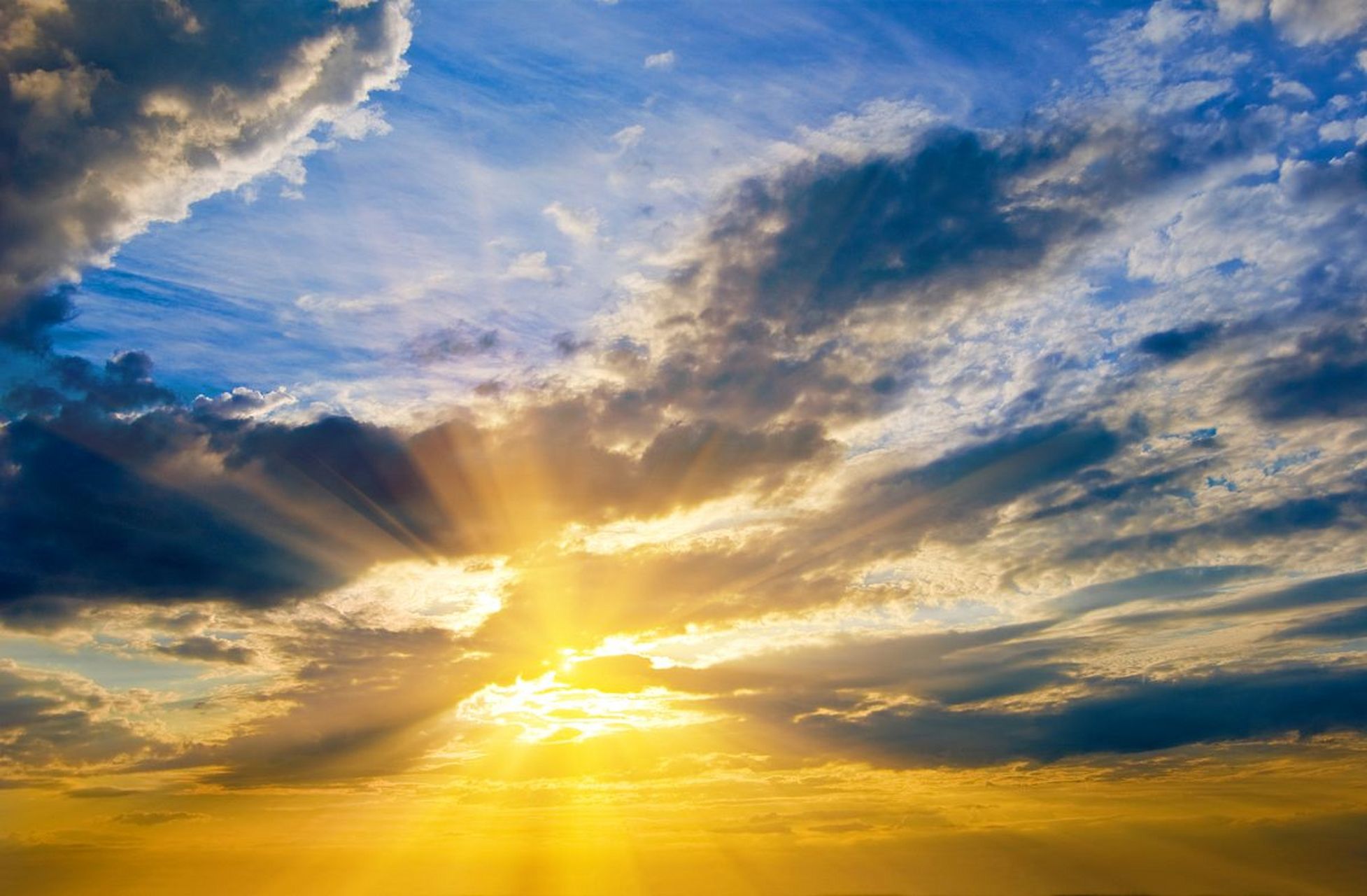 鸟儿在枝头欢快地歌唱,清脆的鸣叫声如同自然的交响乐,让人