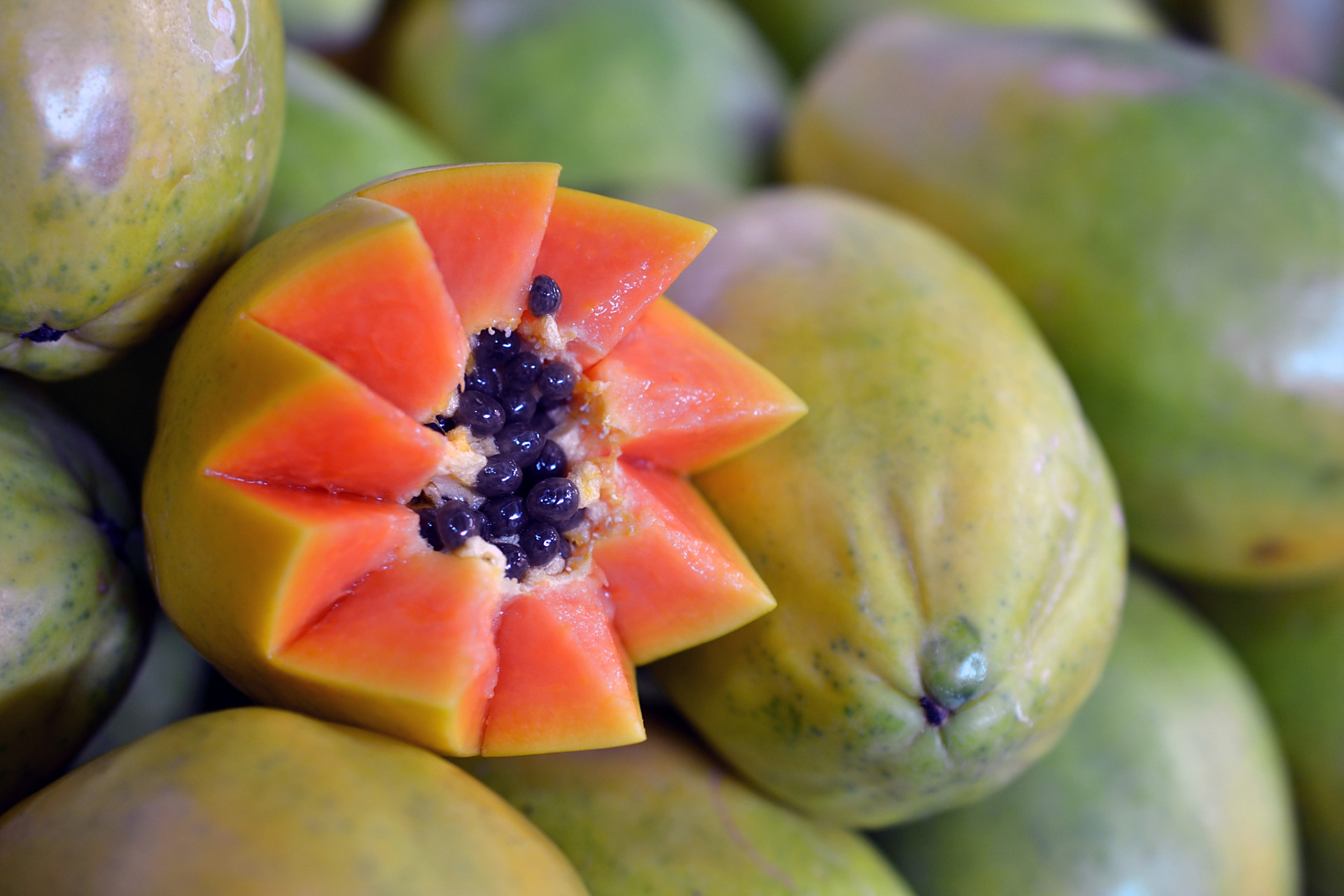 木瓜,这个看似平凡的水果,却有着悠久的历史和丰富的文化内涵.