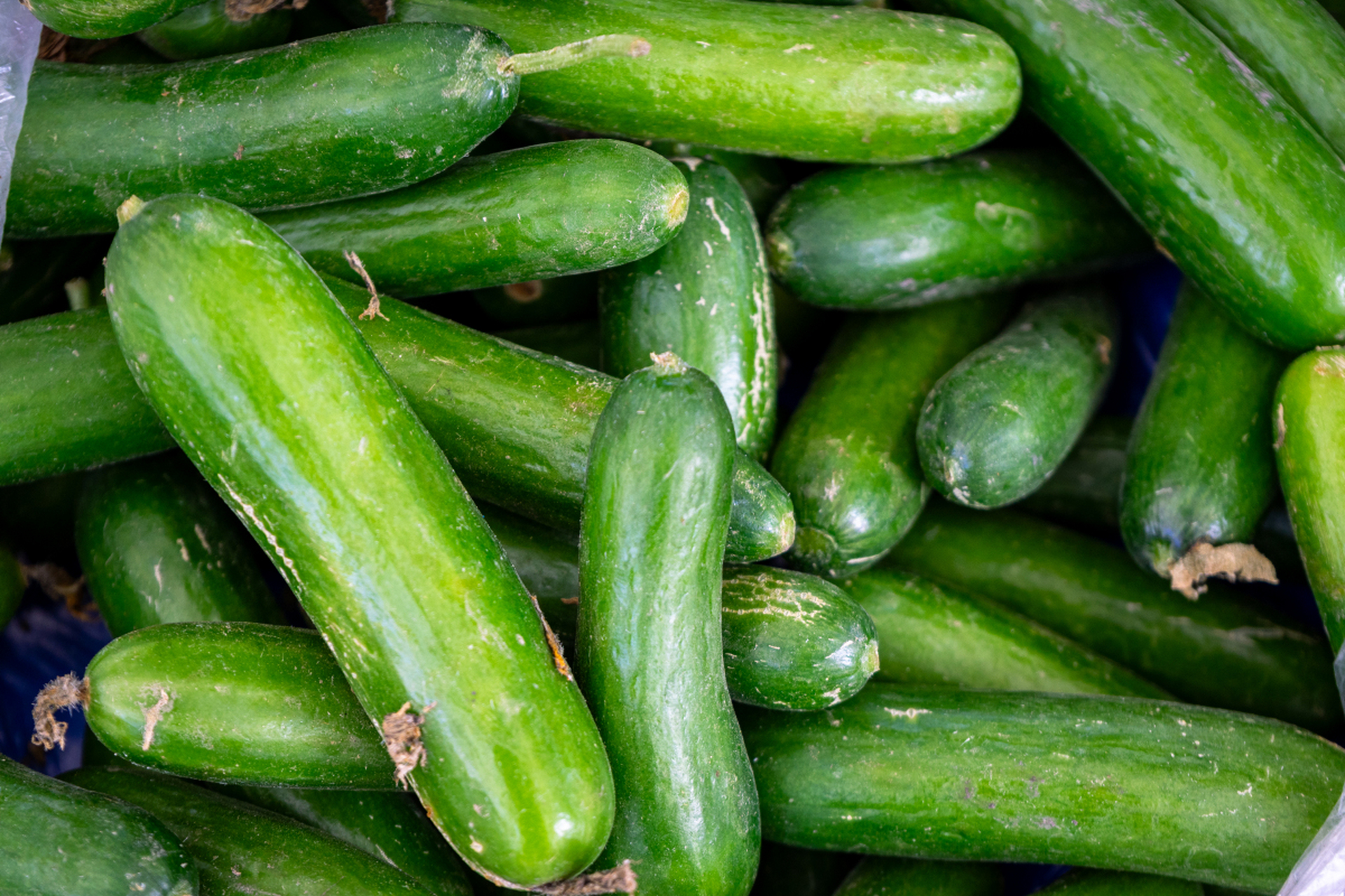 想变成"瘦子",吃这些蔬菜!