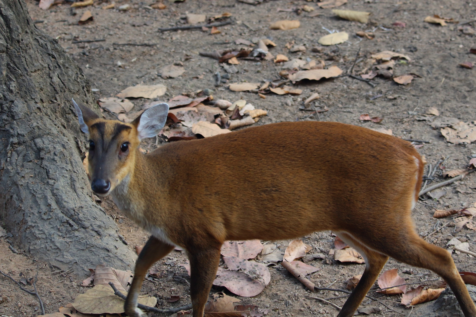 虽然游戏或虚构情境中可以模拟湿度,温度,压力等自然