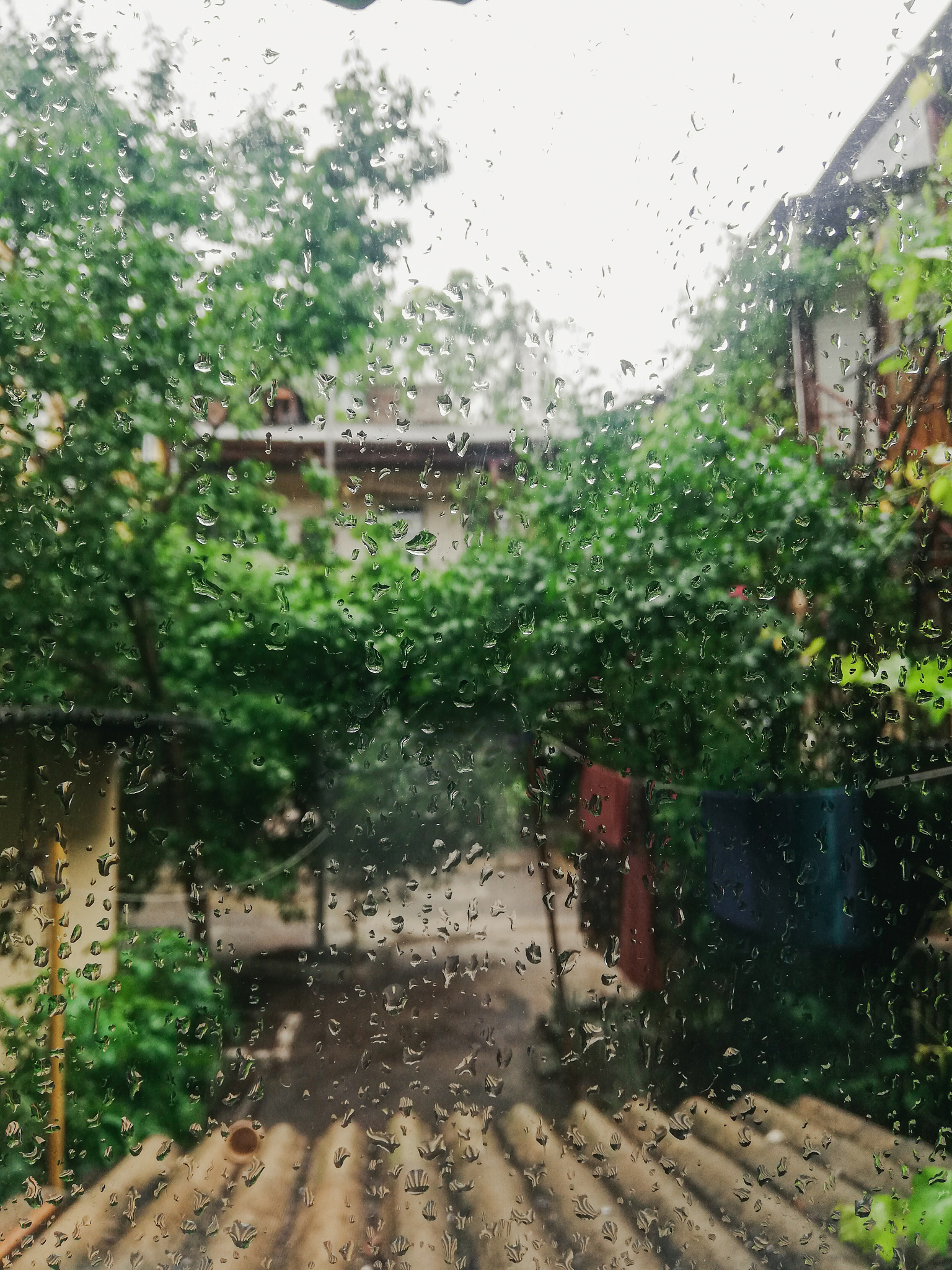 蒙蒙细雨的图片真实的图片