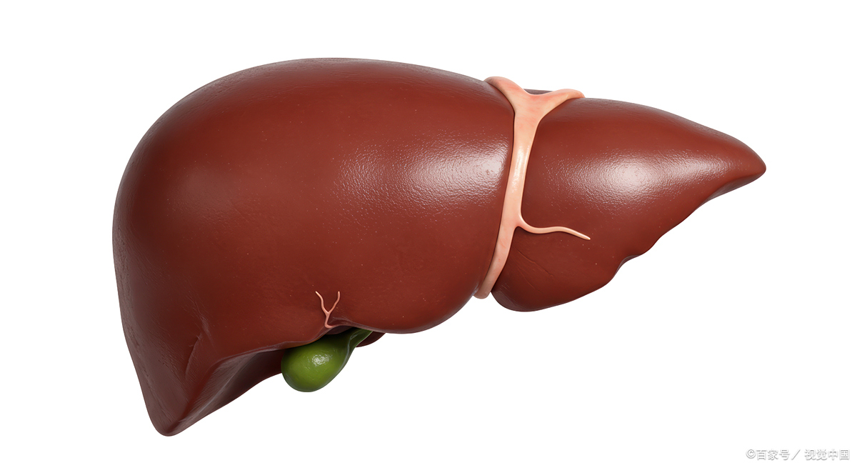 肝脏低分化癌是什么意思 肝脏低分化癌指的是在肝脏发生的恶性肿瘤,其