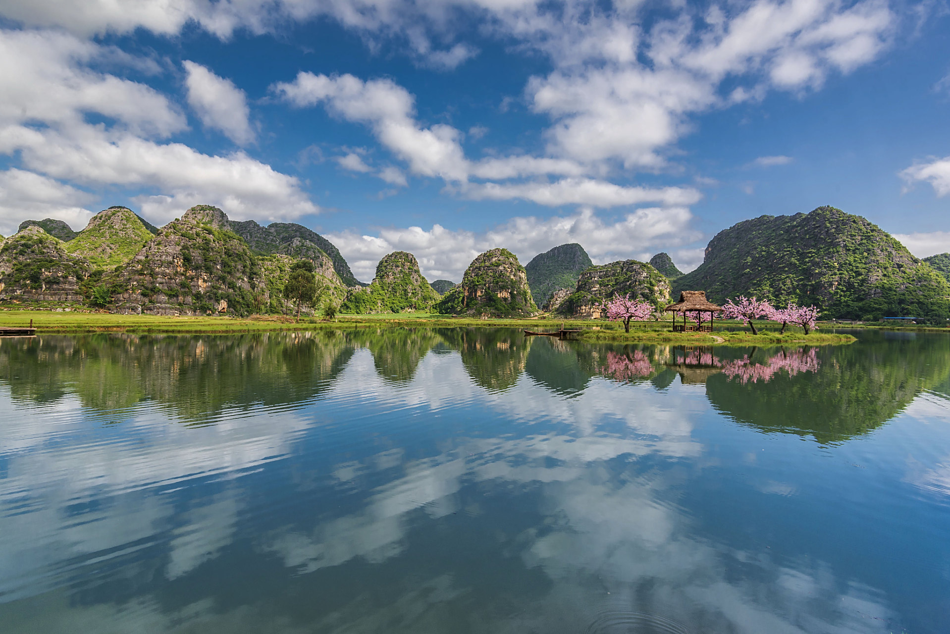 文山州丘北普者黑景区:喀斯特湿地的生命之歌  在中国的西南部,有一个