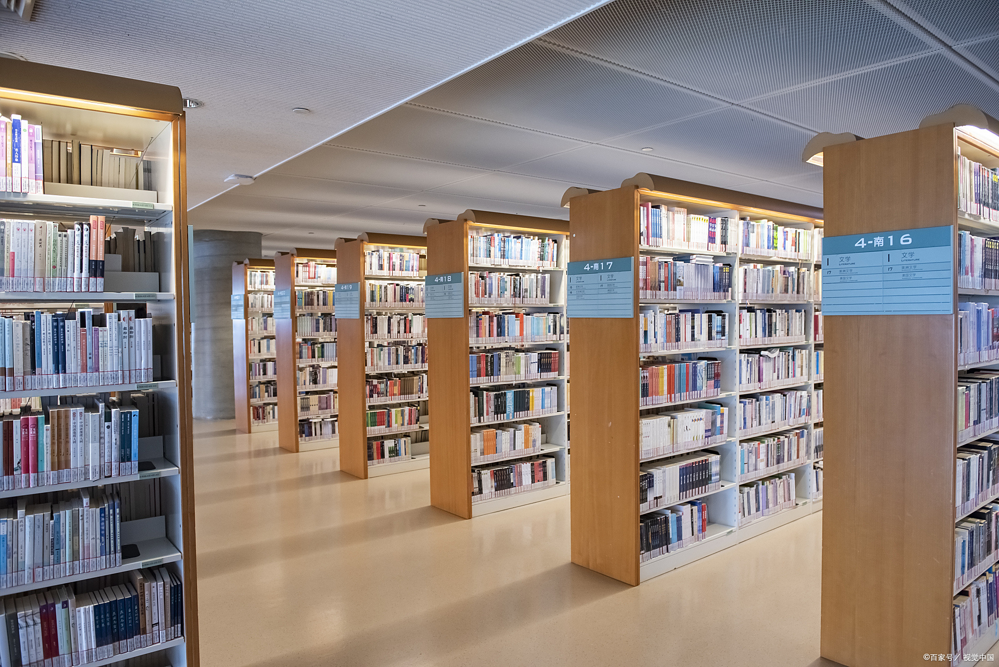 今天我想和你们聊一聊大学生如何充分利用学校图书馆的资源,因为这