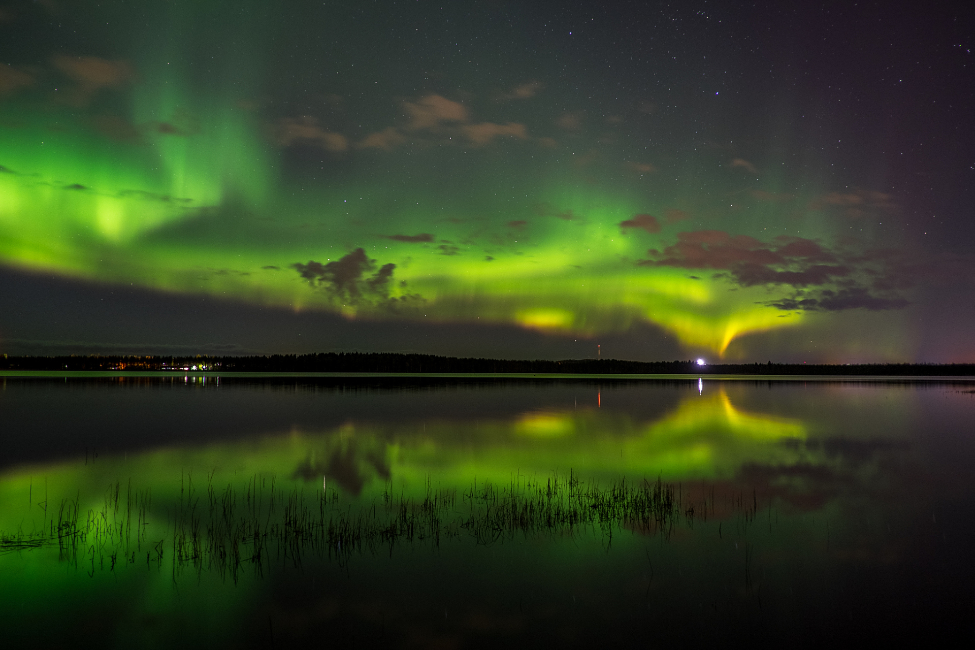 黑龙江漠河北极光 5月8日23时至9日凌晨黑龙江漠河再现北极光,很多