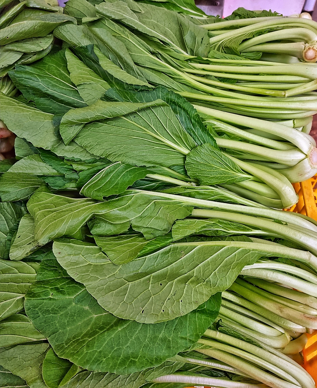 选新鲜蔬菜,巧搭调味品,掌握蒸煮技巧,品味健康美食的无限魅力