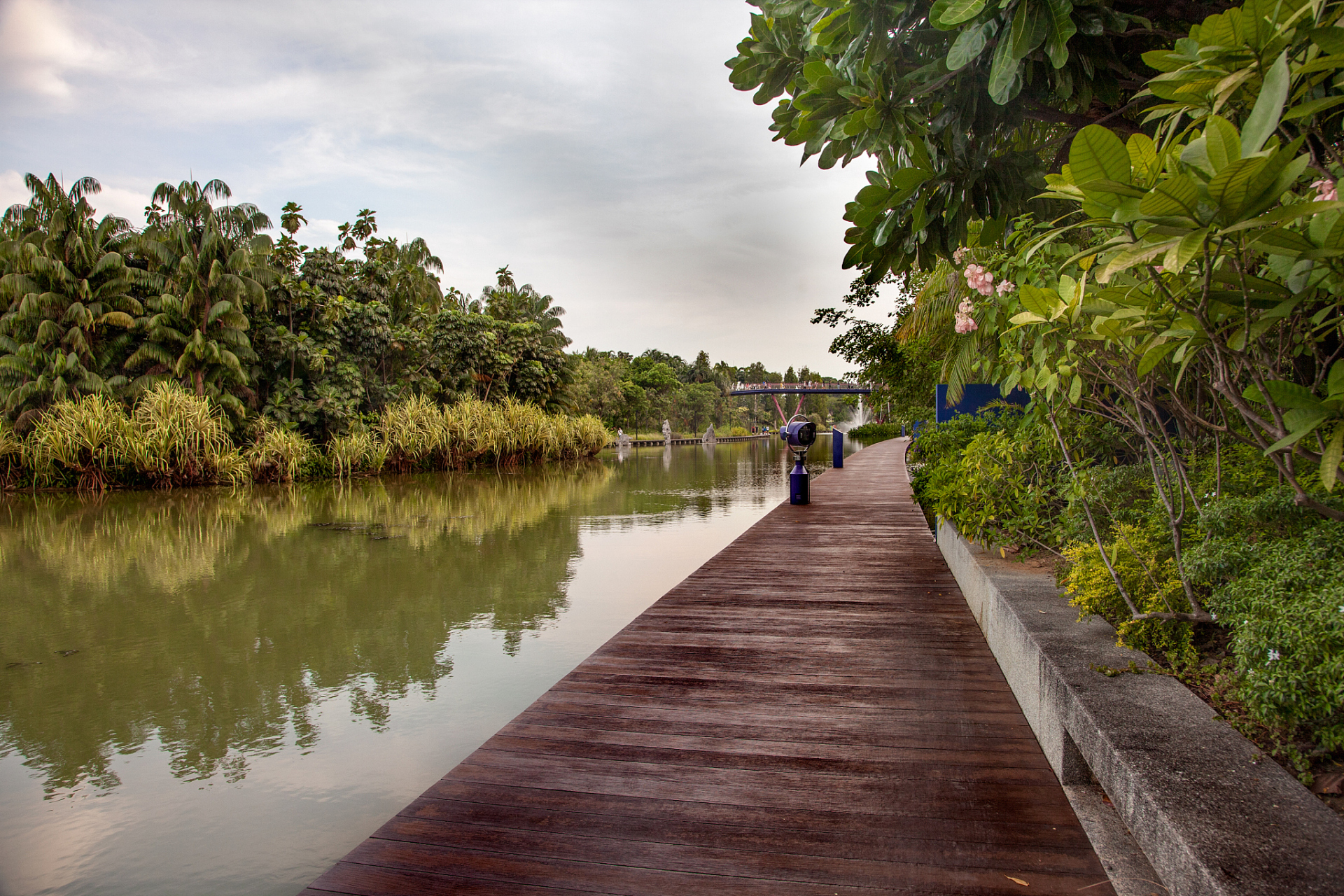 #这一站就出发#【西湾红树林湿地公园】位于广东省深圳市宝安区金湾大