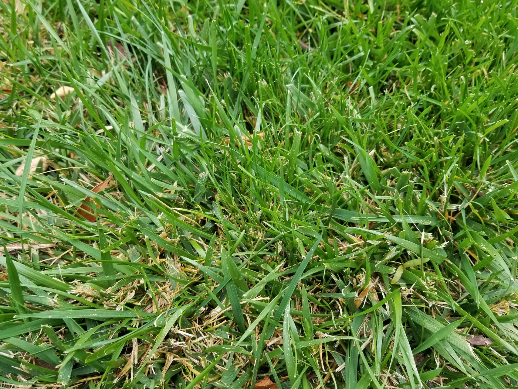 有句话说的好,十人九胃不好!