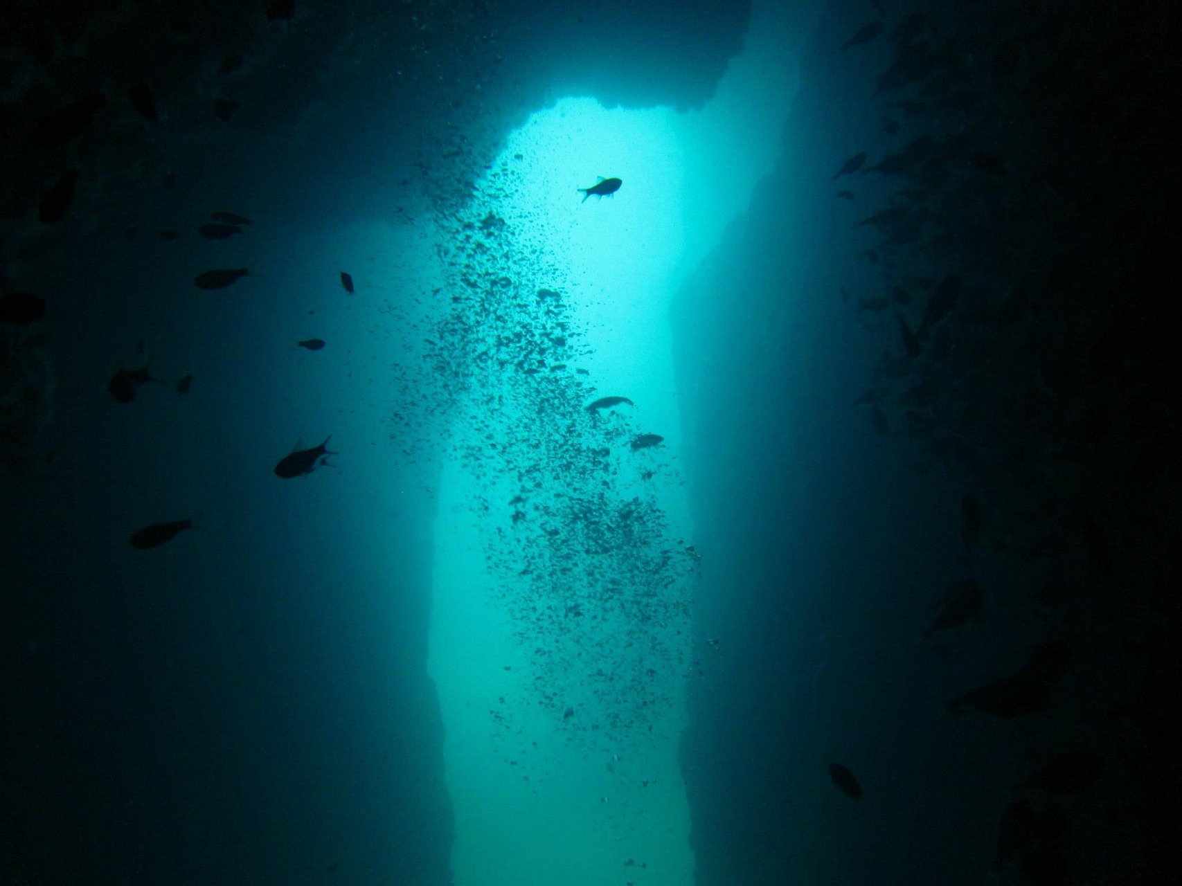 指位于西太平洋马里亚纳群岛以东的一条深海峡谷,是世界上最深的海沟