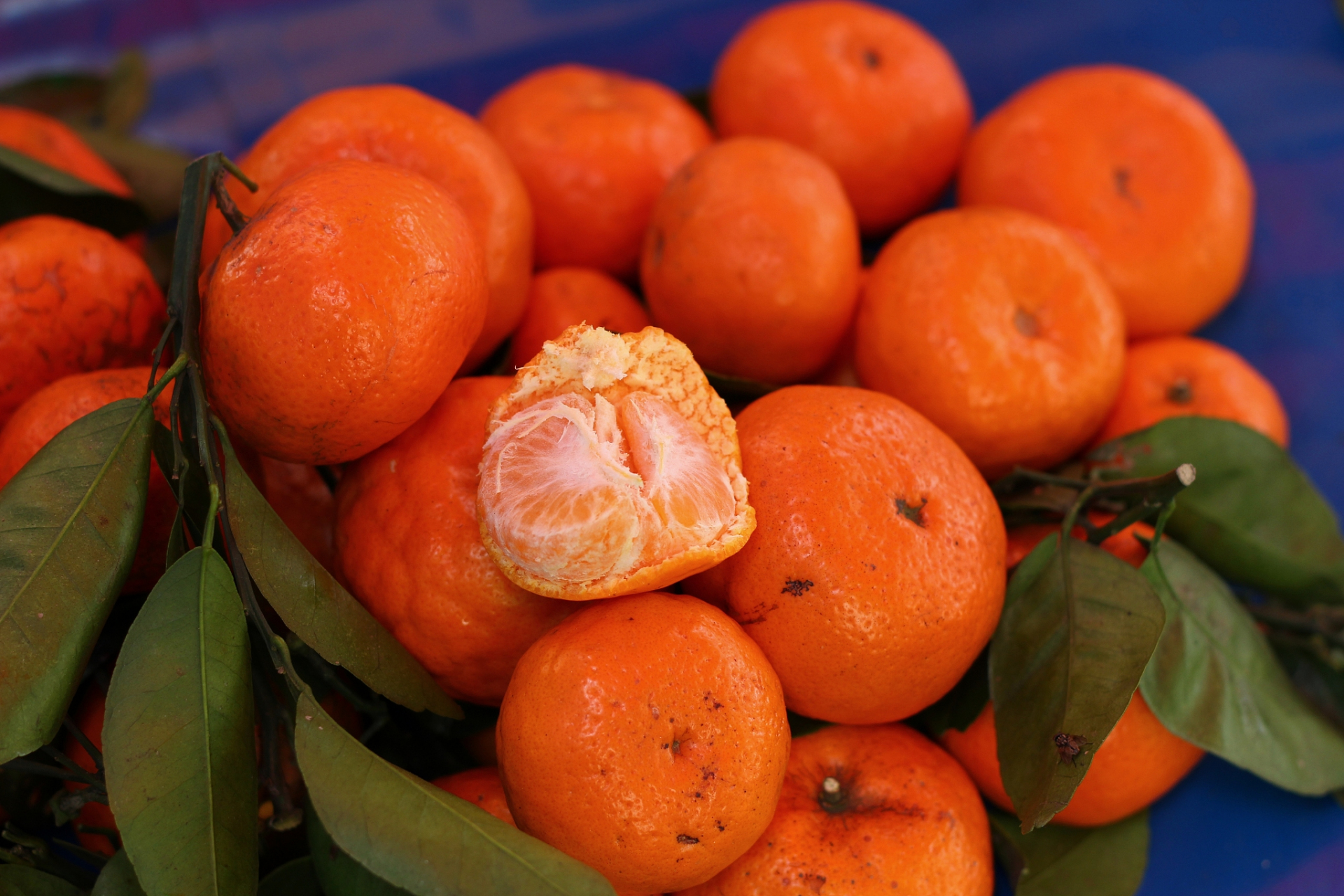 在三峡库区,有一种被誉为"古红桔"的珍稀水果,它就是万州古红桔,也被