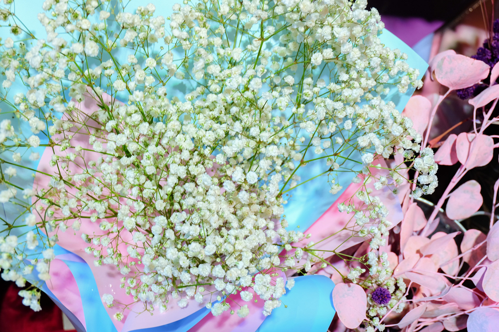 关于满天星的绝美文案  1.我携满天星辰赠与你,仍觉得满天星辰不及你.