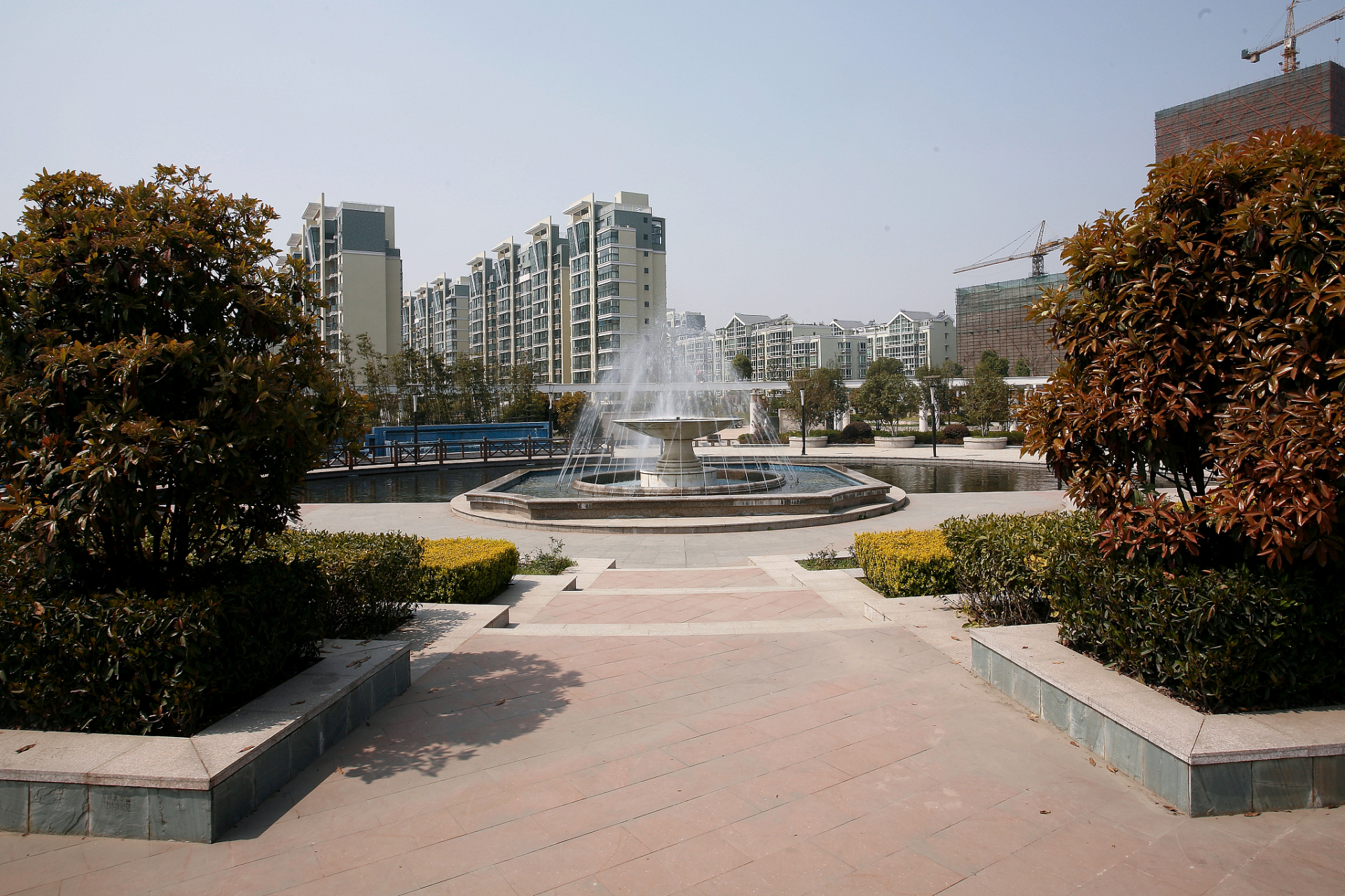 去年在小区广场上,我认识了一个盐城阿姨,她是来我们这边帮儿子家带