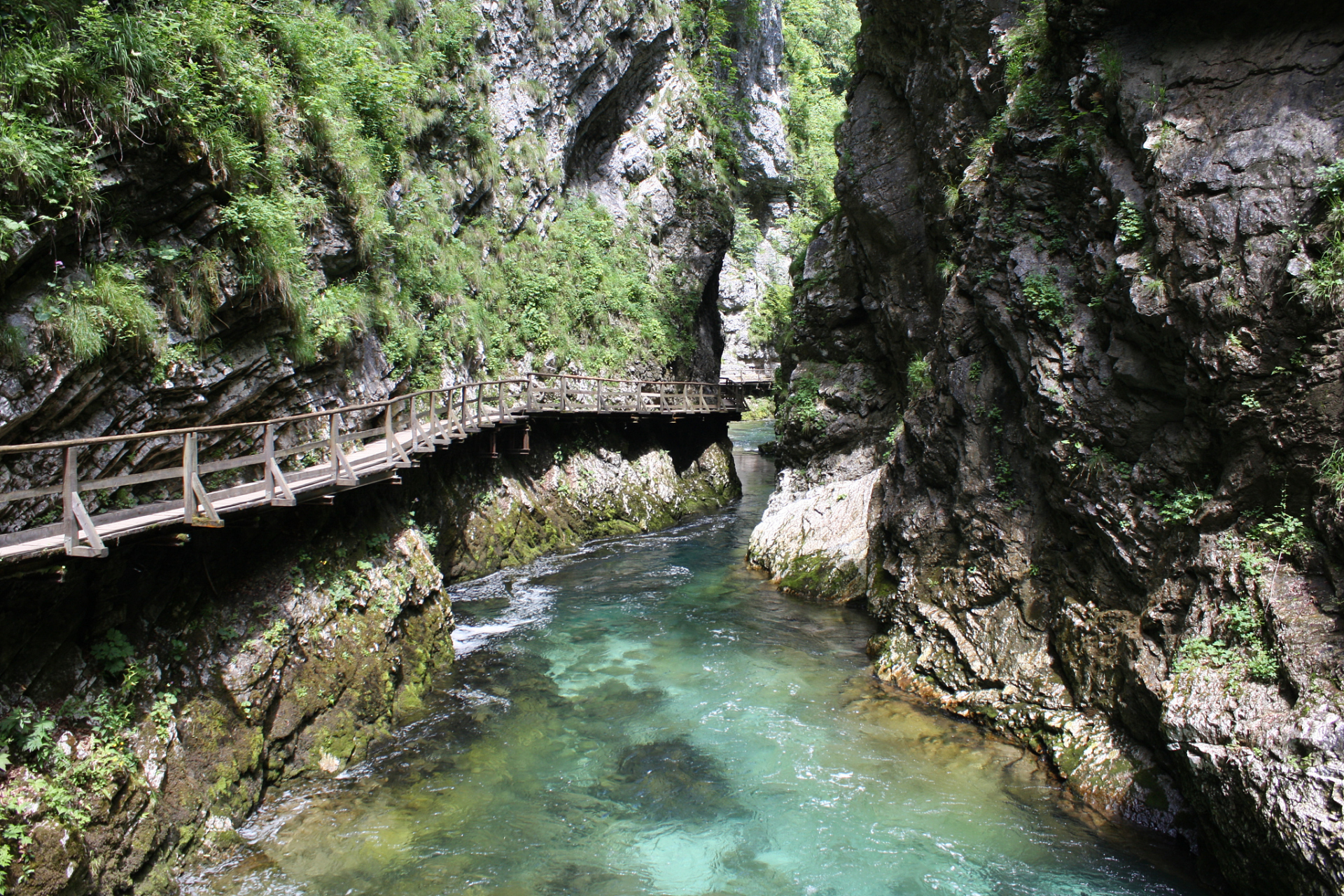 重庆的绿色宝藏,藏在彭水县的阿依河.源自贵州,流入重庆,全长13公里.