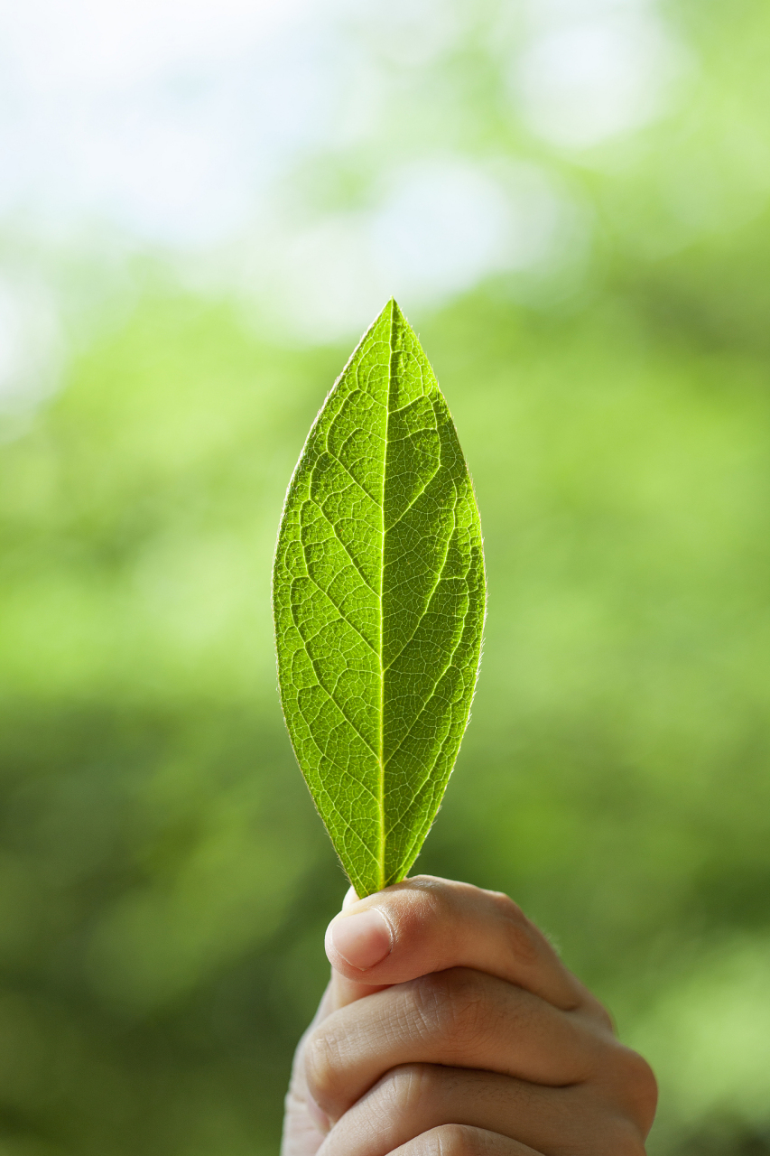 网站建设之搜索功能强化升级标准_网站如何优化搜索引擎_如何做好网站搜索引擎优化