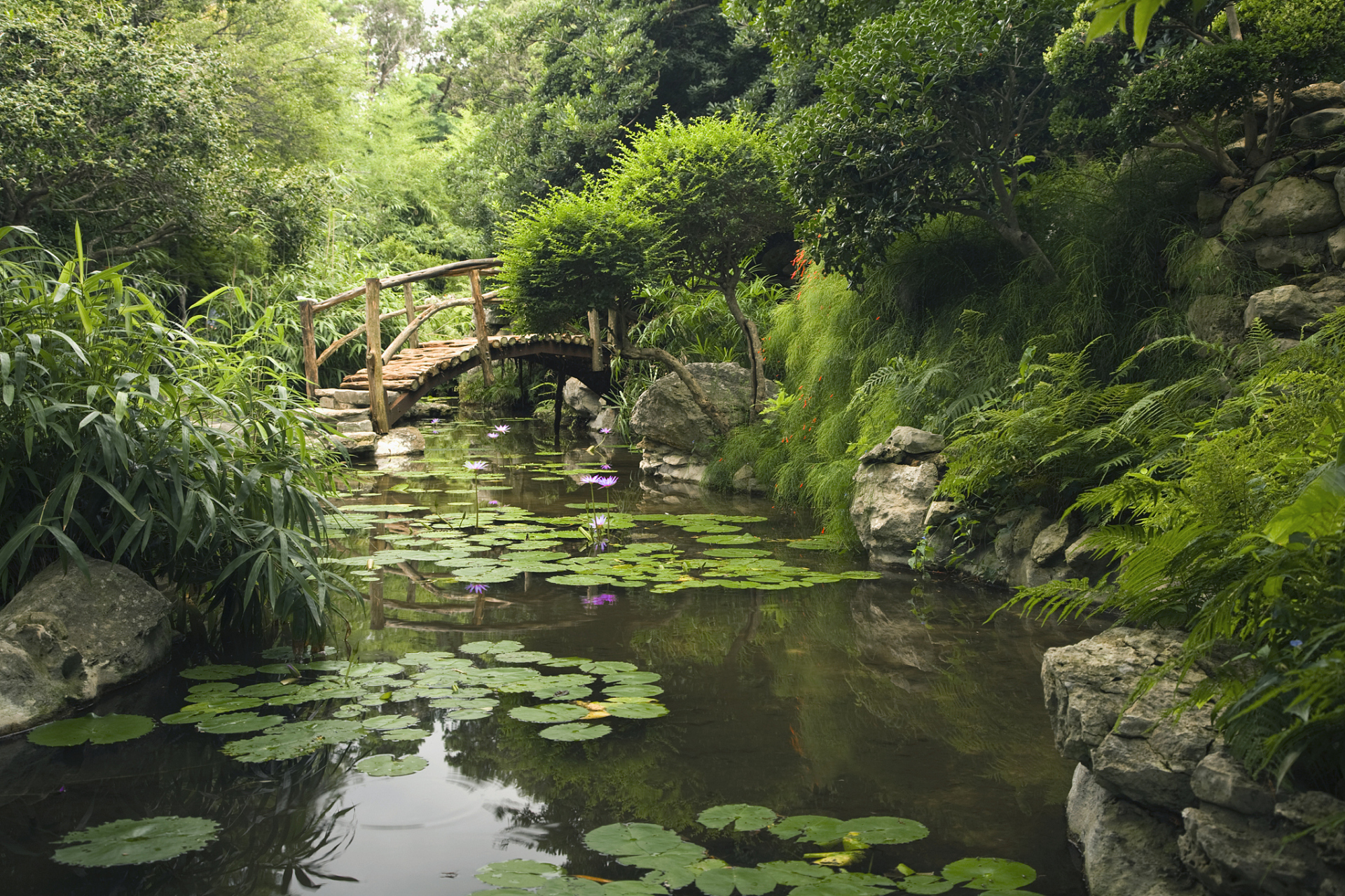 南京夏季旅游景点图片