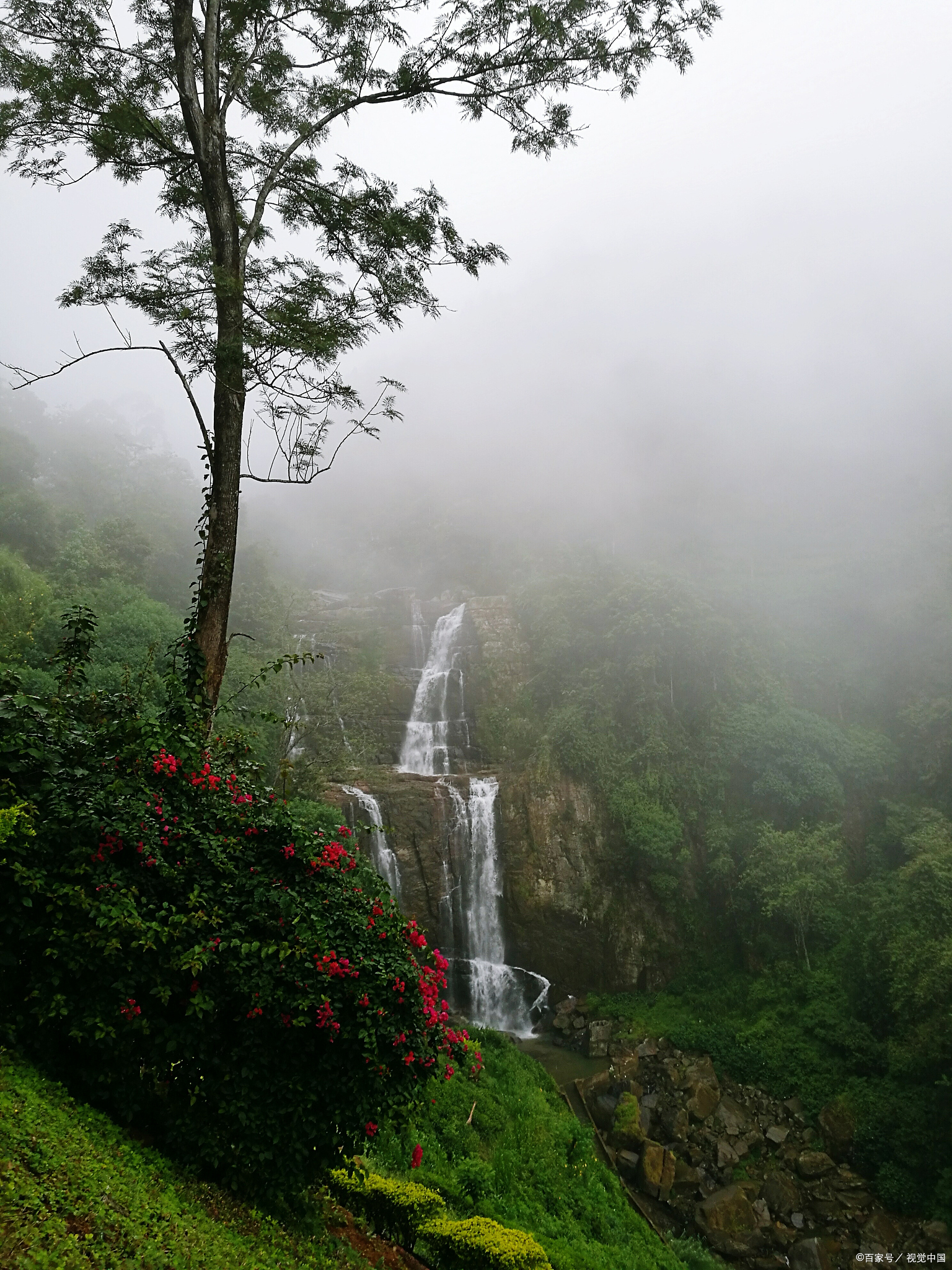 三百山风景名胜区图片