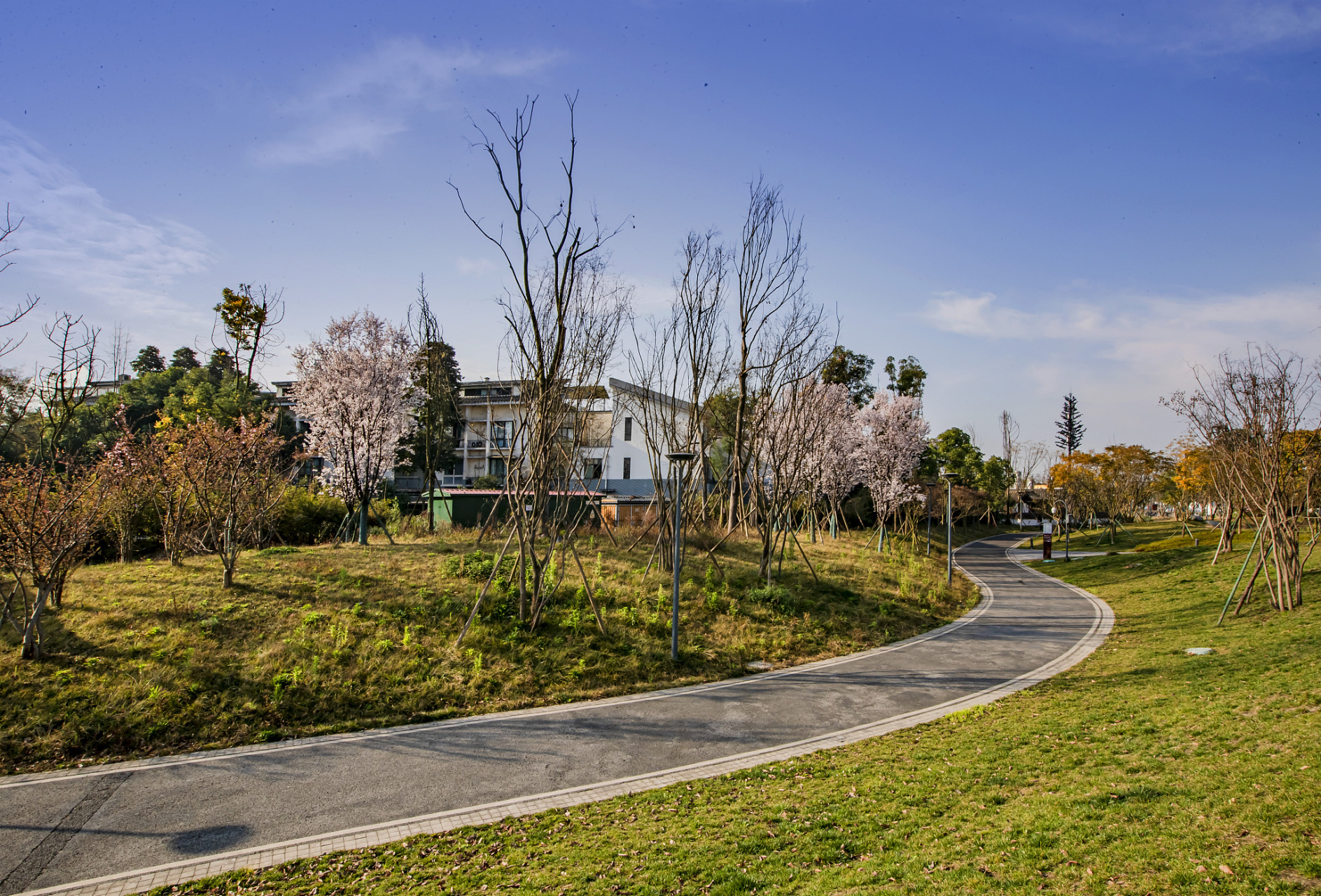 动态创作月# #在温江遇见幸福#  温江北林绿道 北林绿道,全长约65