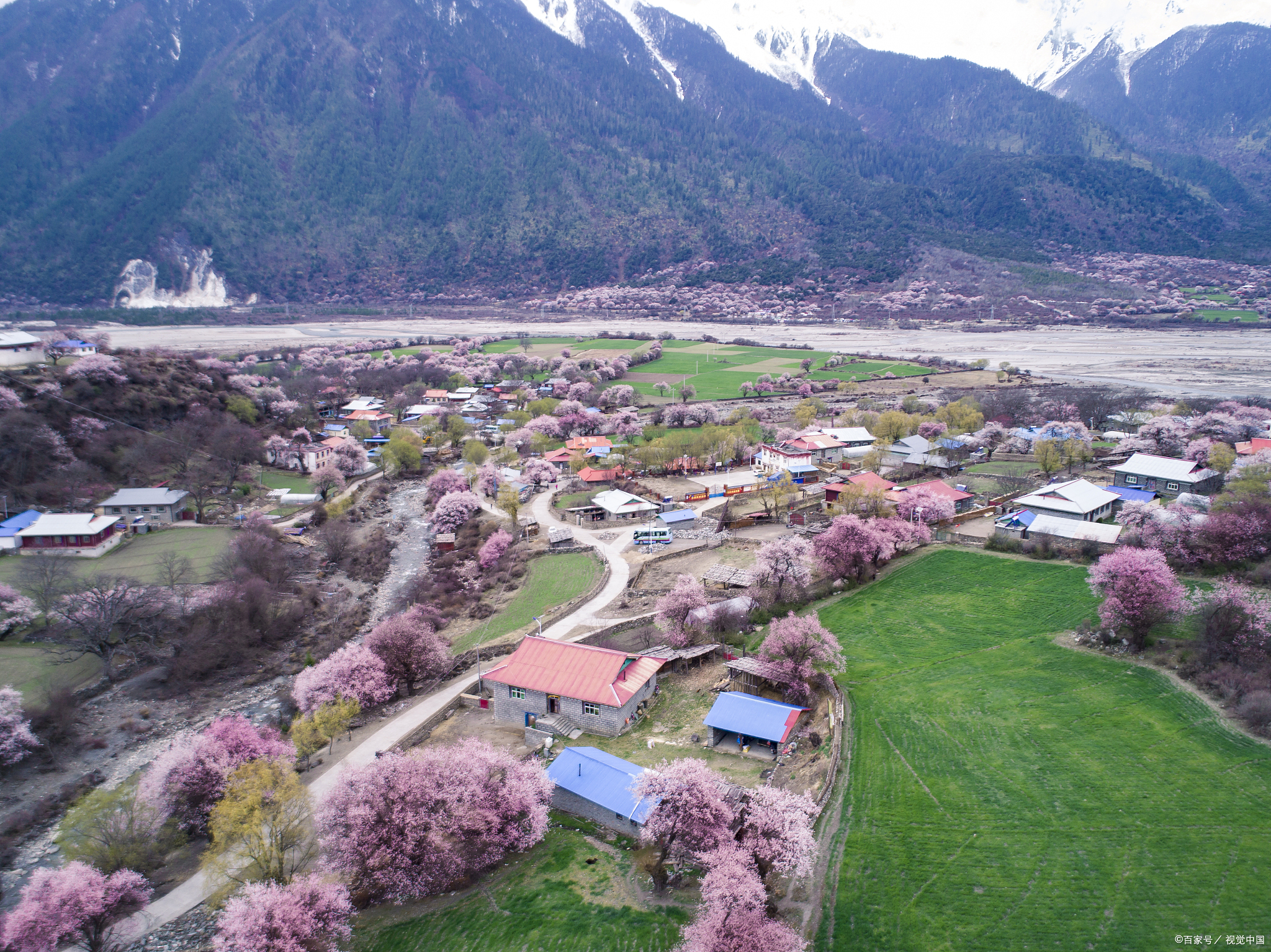 都说西藏林芝是小瑞士,林芝有哪些景点值得一逛?