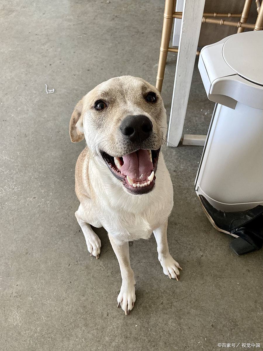 有个别的部门同事嫌她自己工位位置不好,她来的早就坐我的座位