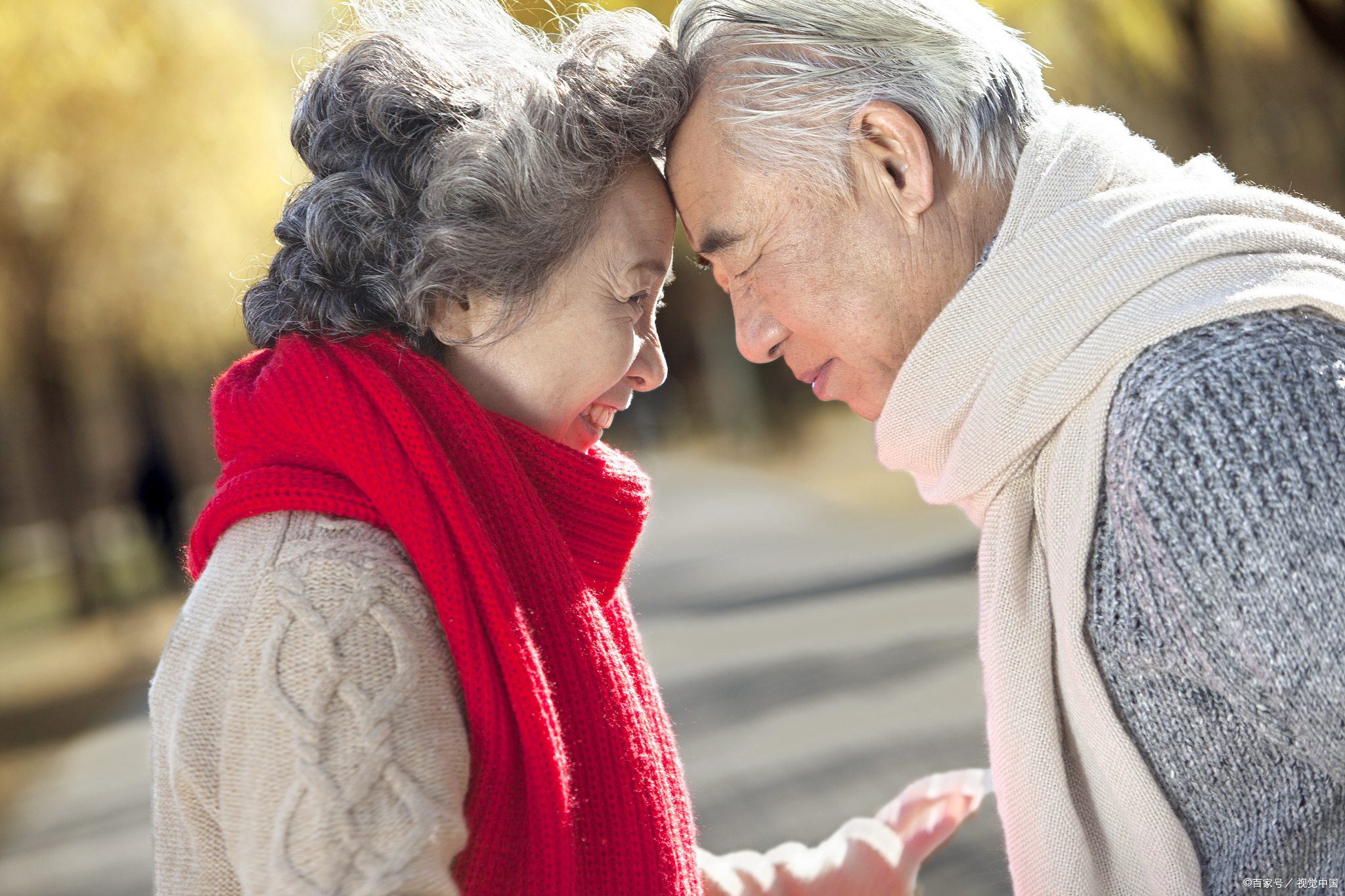 银发恋情:老年人如何享受浪漫的恋爱之旅