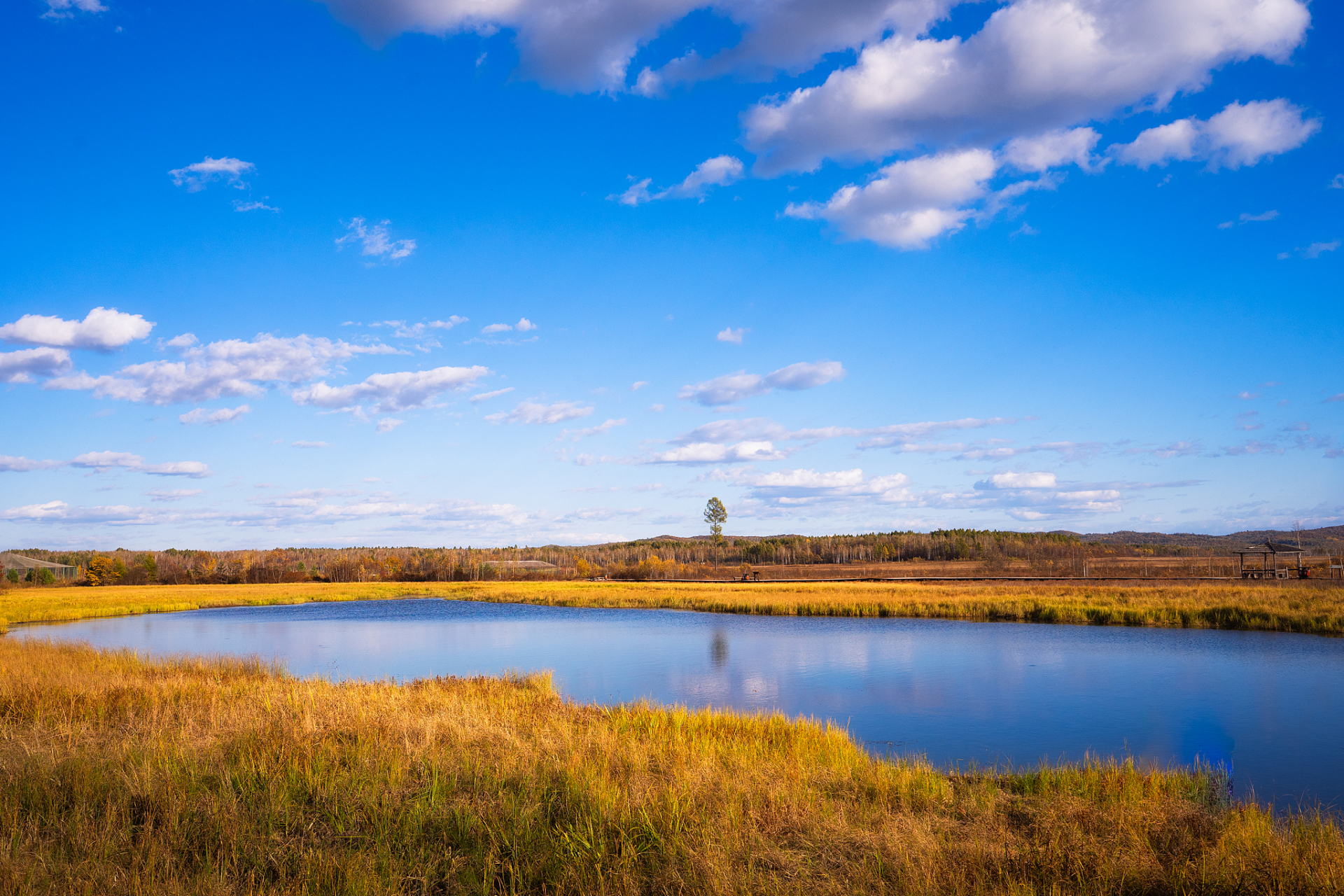 新疆那拉提国家湿地公园位于新疆维吾尔自治区伊犁哈萨克自治州霍城县