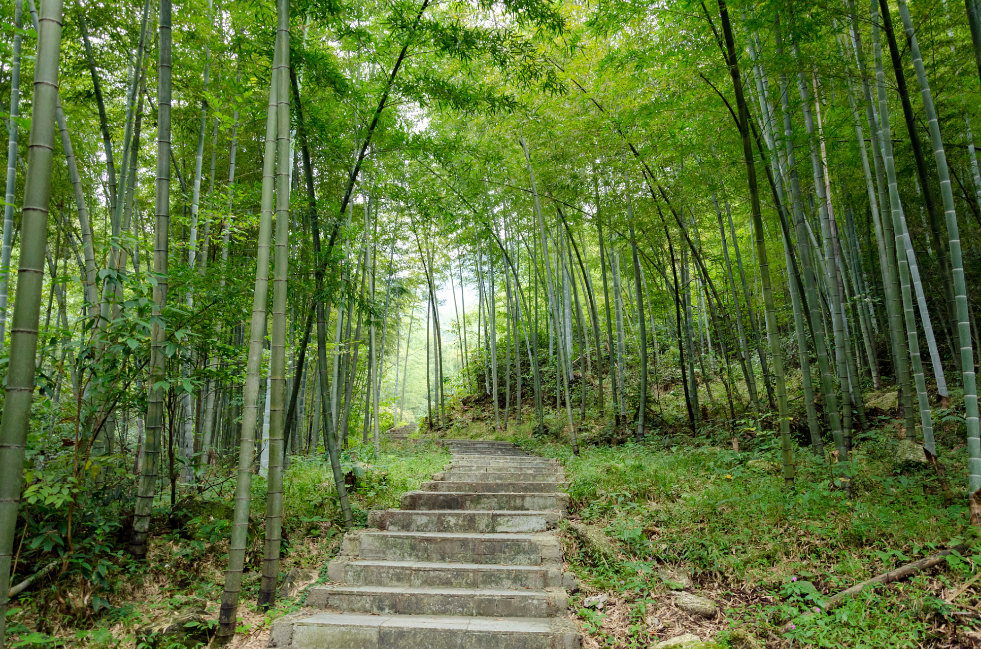 夏日闪光旅行家# 这个夏日,来南省南部永州市宁远县,来九嶷山:看说圹