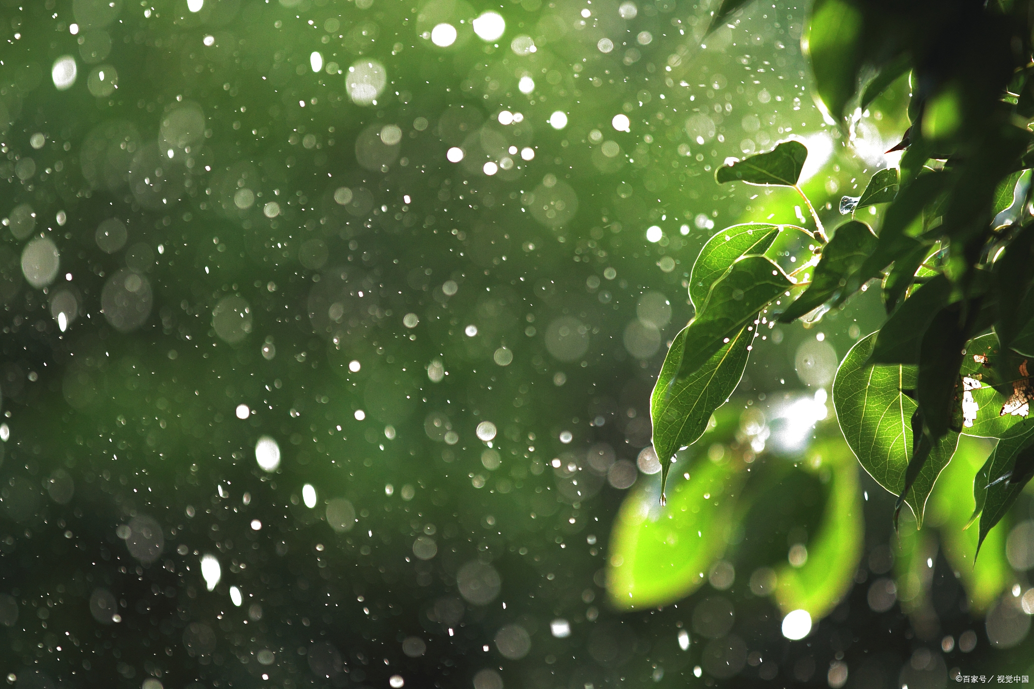 下雨天却温馨的图片图片