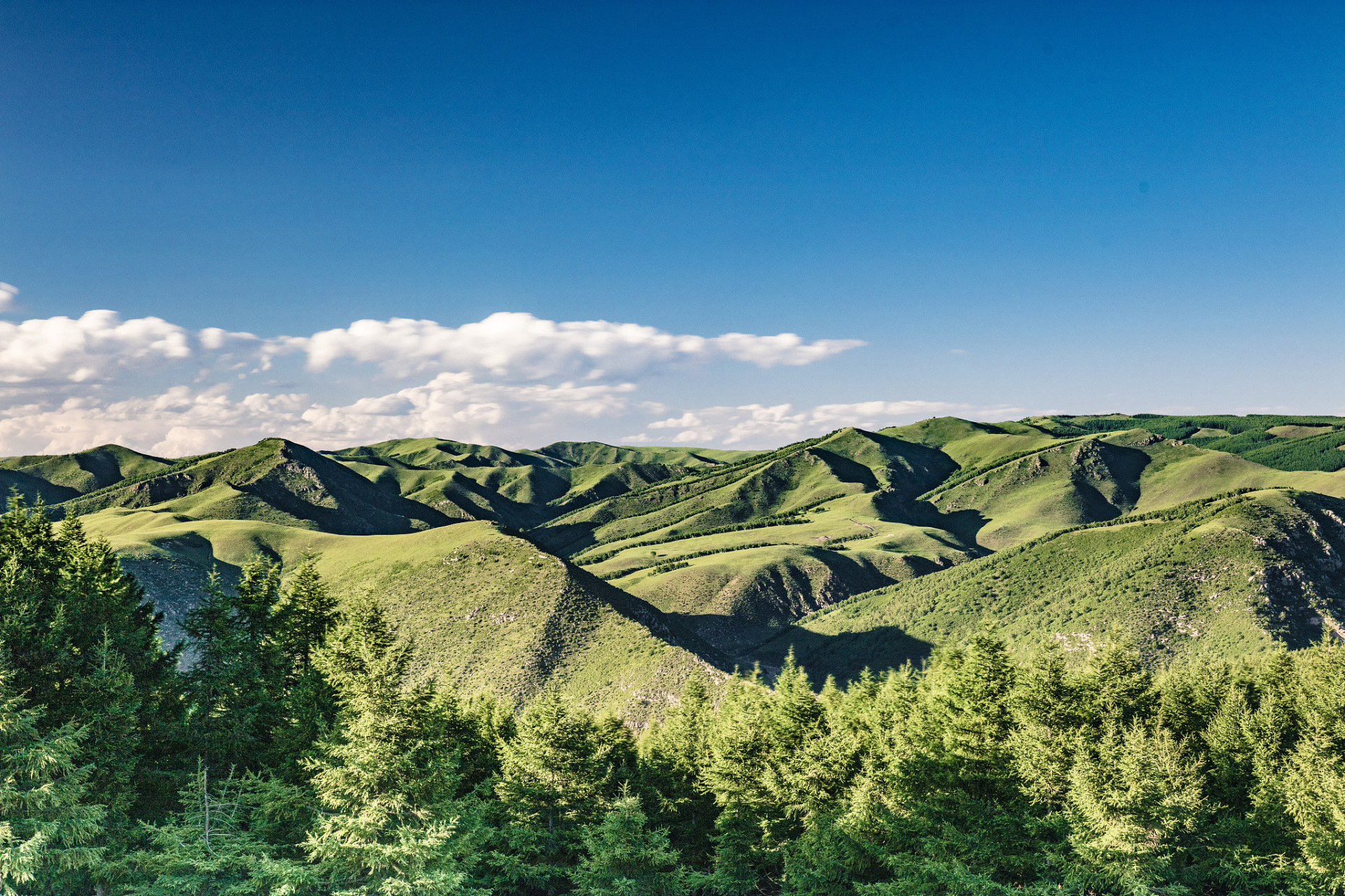 秋日生活创作季# 呼和浩特,这座内蒙古的首府,拥有丰富的自然景观和