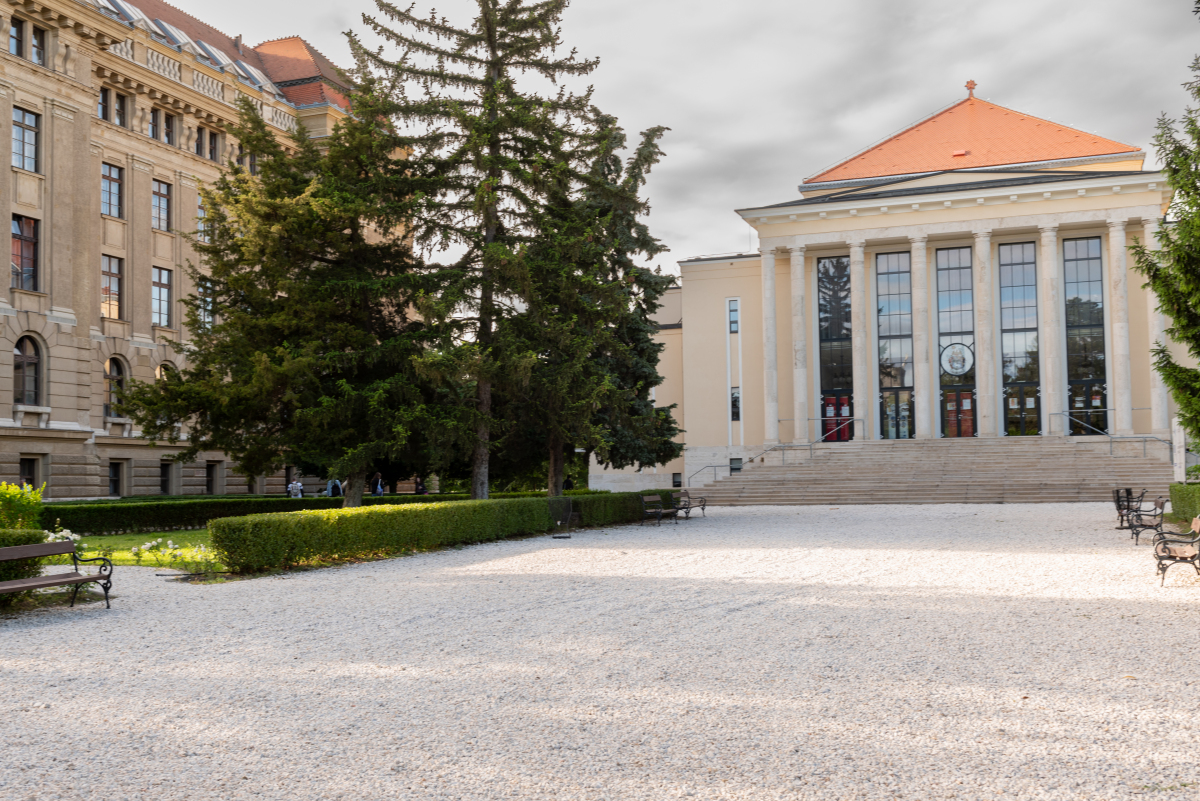 远赴千里参加堂叔葬礼,随礼1万,返程高铁上接到婶子电话我哭了