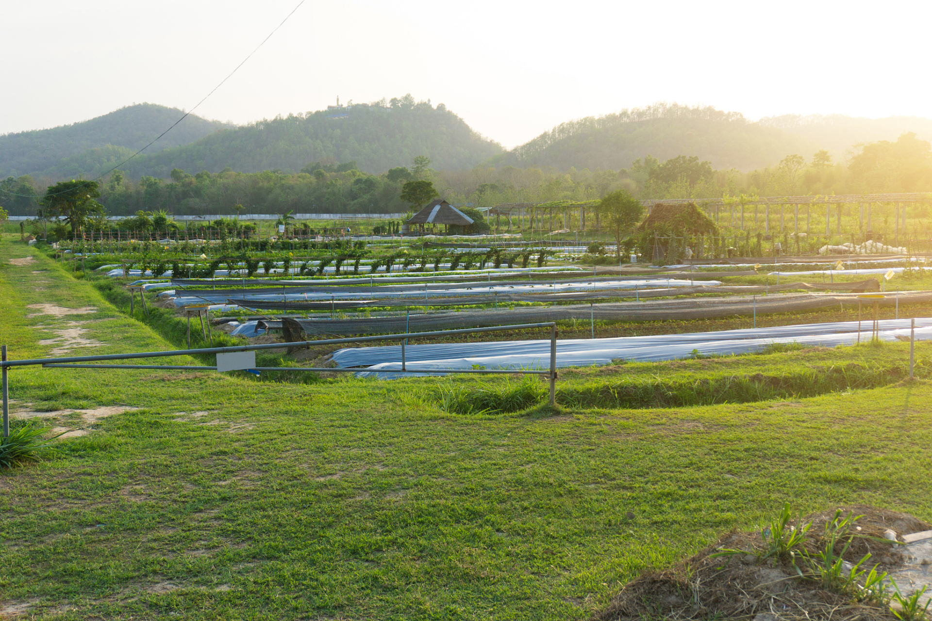 山地立体农业,颠覆传统模式!高效产出,环保节能的种植养殖与智能化管