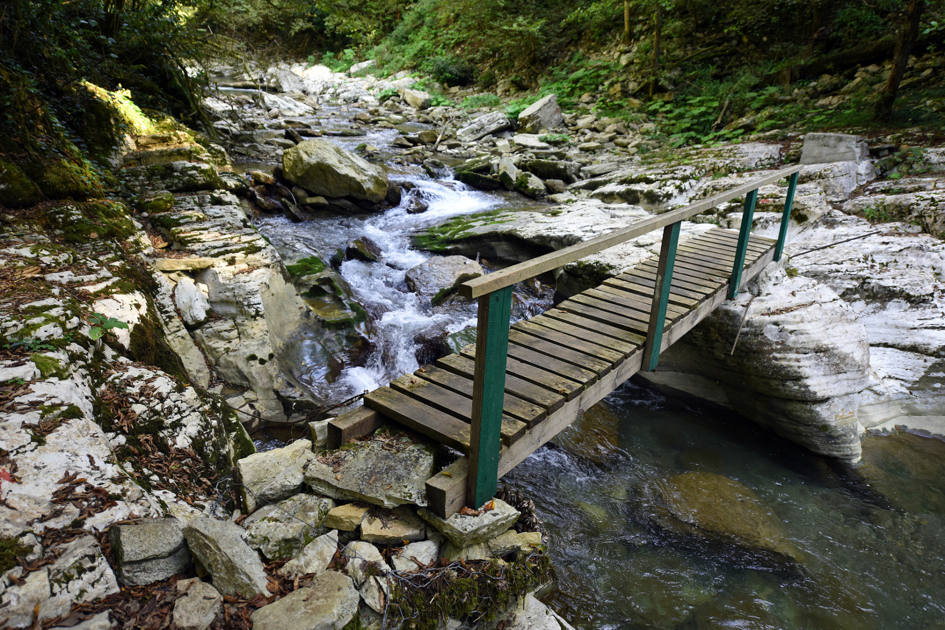 周末去哪儿玩# 商洛牛背梁国家森林公园,这颗镶嵌在商洛市柞水县优烫