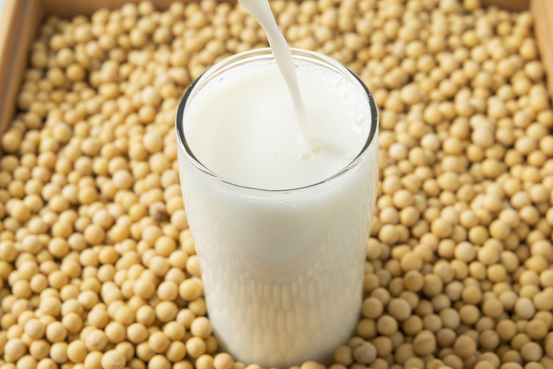 豆浆有丰富的营养价值,坚持饮用,比牛奶更值得选择!  豆浆中含有大豆