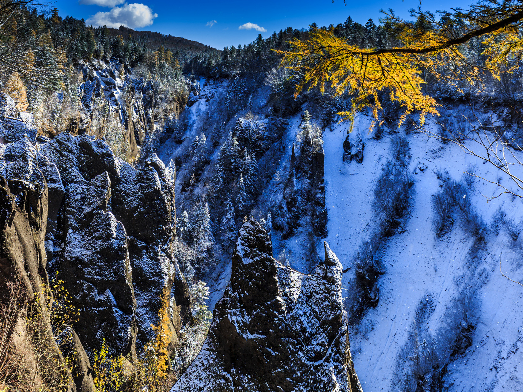 哈尔滨的冰雪节和雪雕艺术,长白山的壮观雪景和温泉滑雪场,喀纳斯湖的
