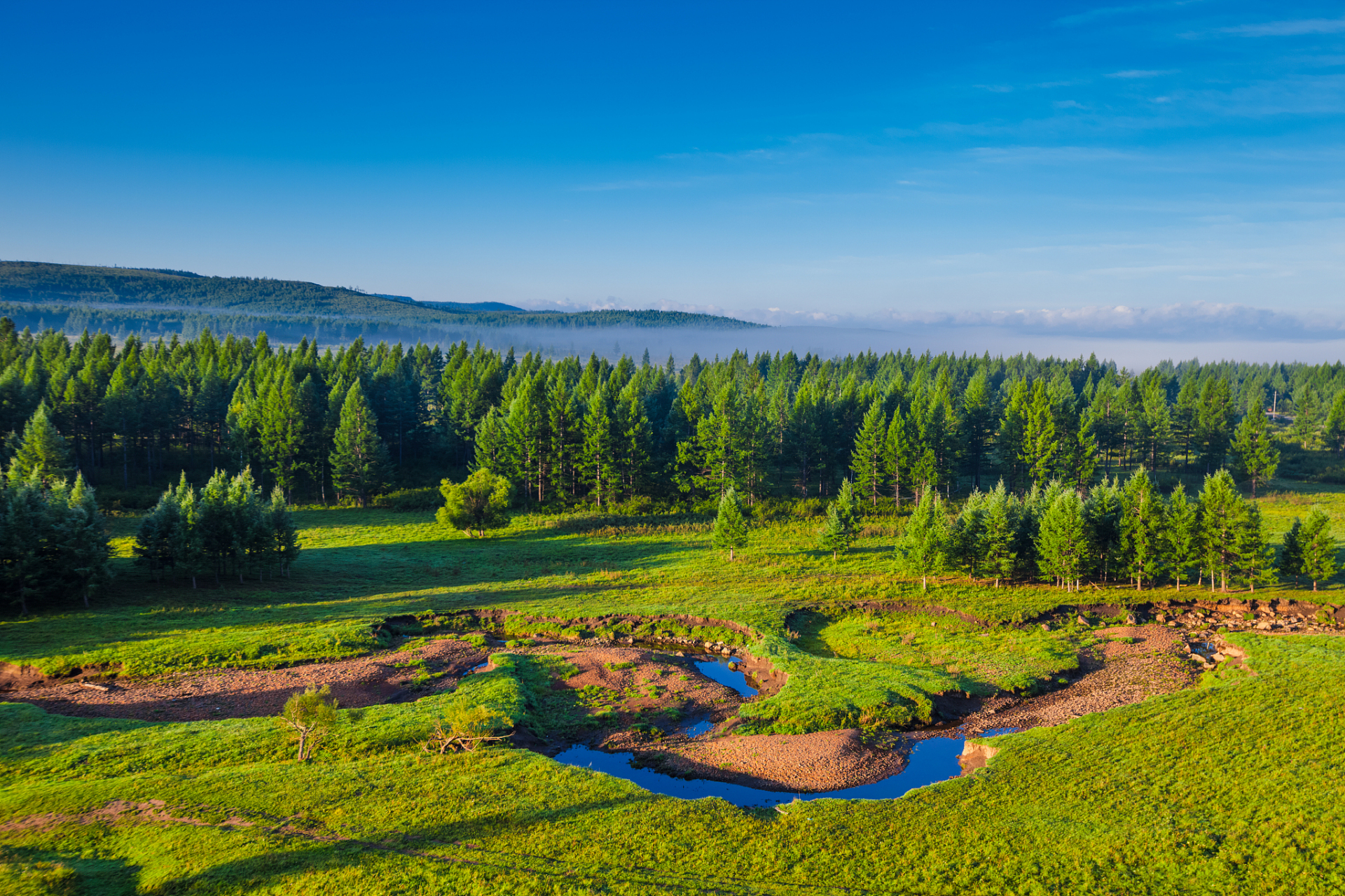 奇遇那拉提#新疆那拉提野果林风景区以其自然生态美景吸引着越来越多