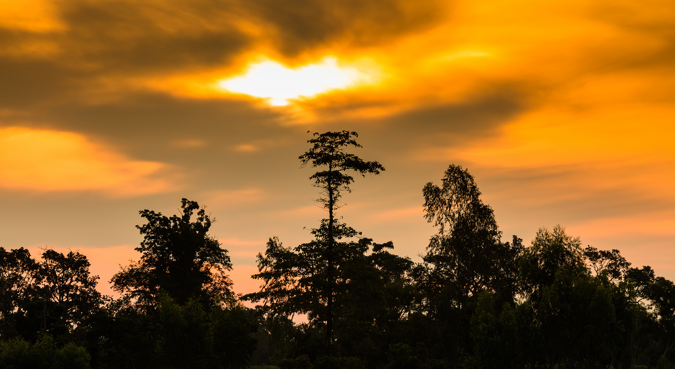 重庆秋天的晨曦与朝霞 重庆秋天的晨曦和朝霞也是非常美丽的景观.
