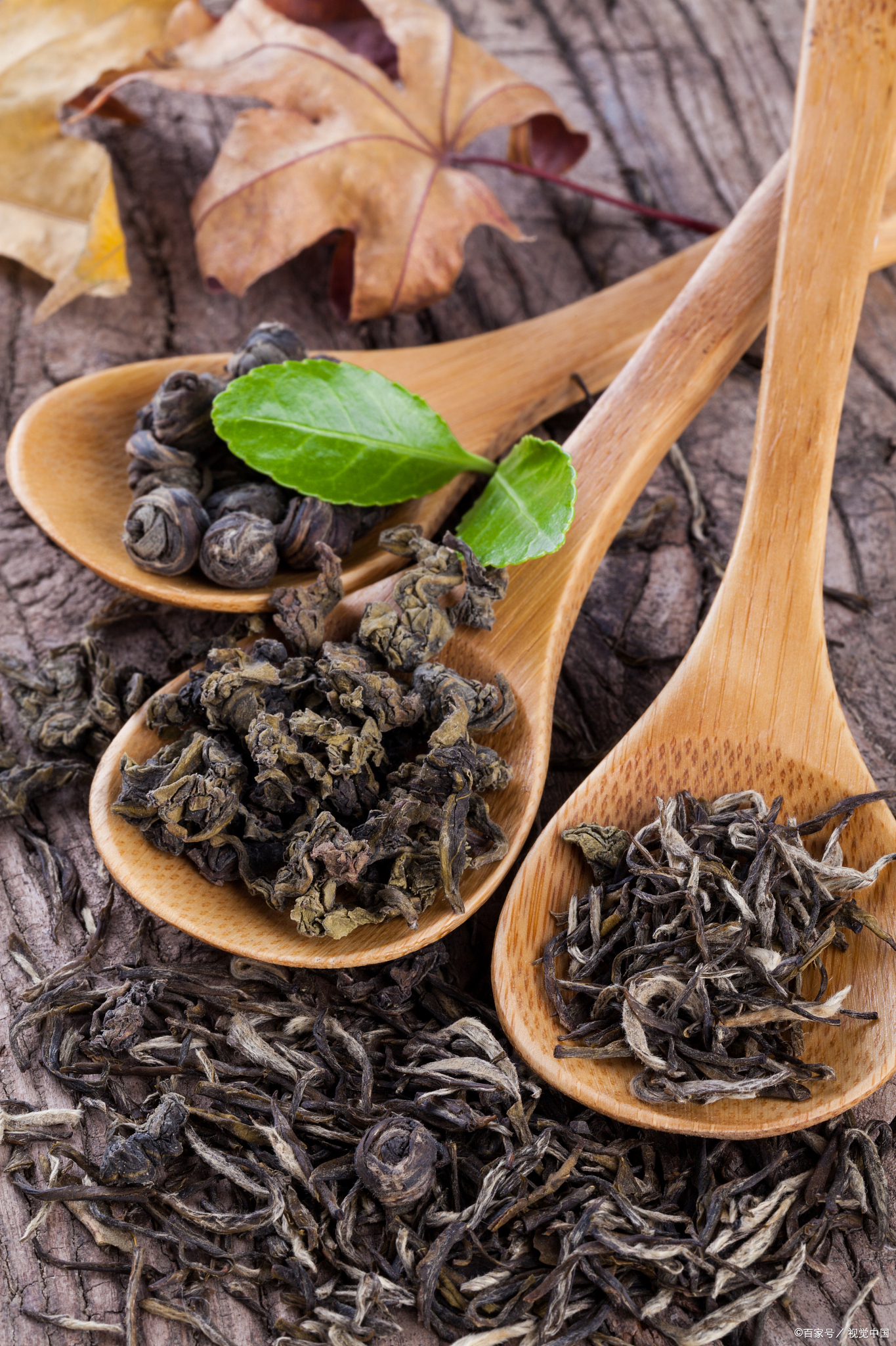 黑毛茶属于什么档次
