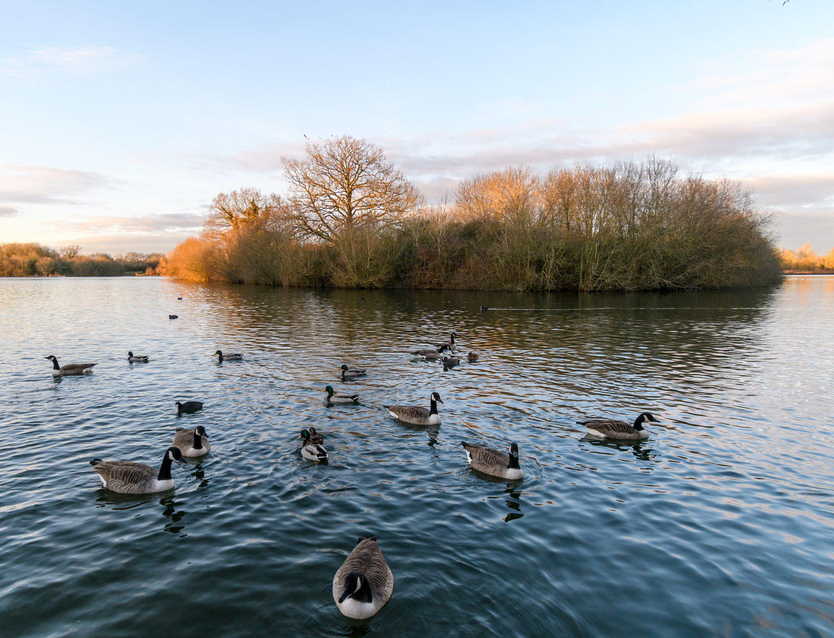 如果,人人都想避风,港湾匮乏的关系,就一定会变质,破裂,相互仇视.