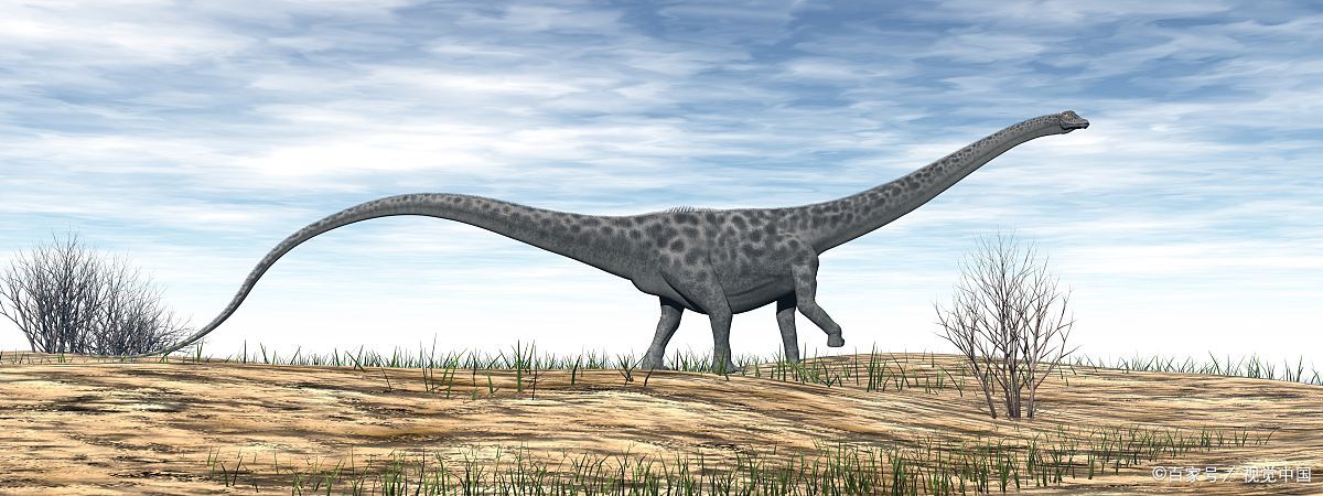 史前最大的陆地动物