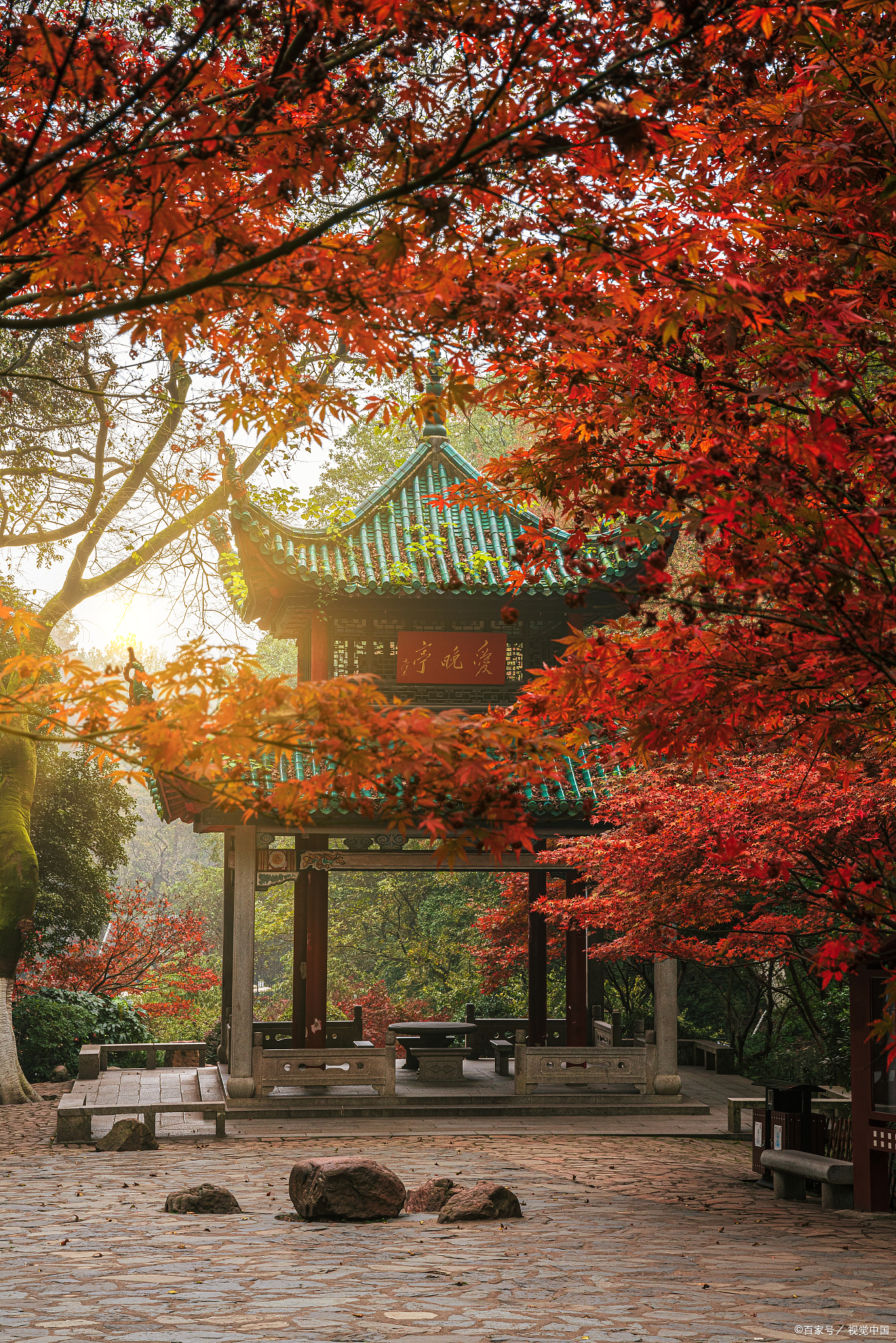 岳麓山风景图片