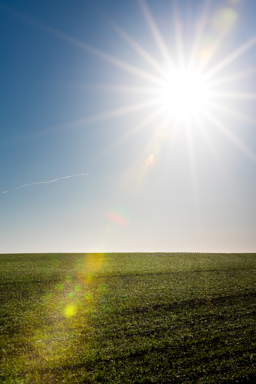 今年如此热,太阳活动加剧也是重要原因.   今年特别热吧.