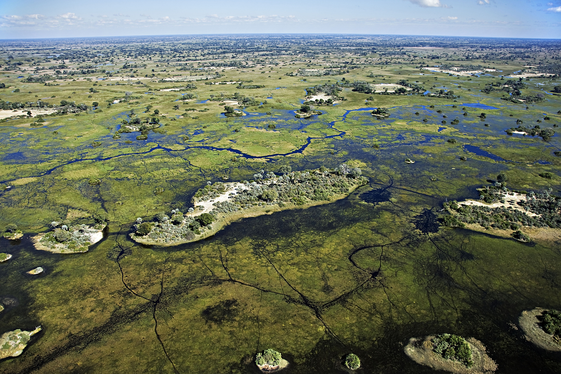 90地理之最,最大的平原  91亚马逊平原是世界上最大的热带雨林