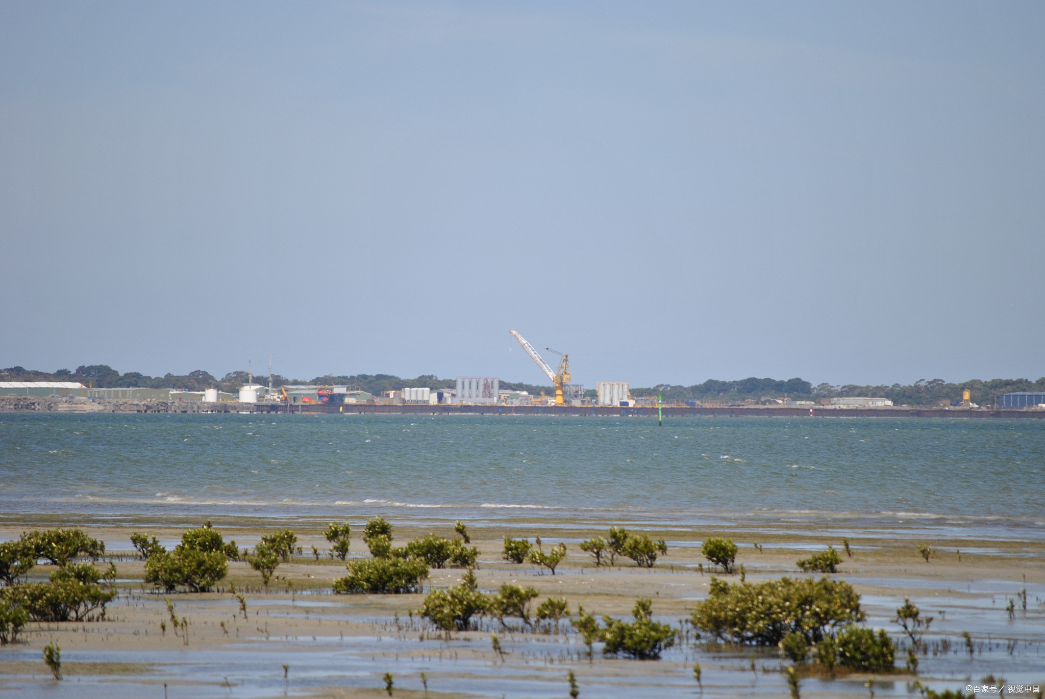 黄埔新港位于广州市黄埔区,是一个繁忙的港口